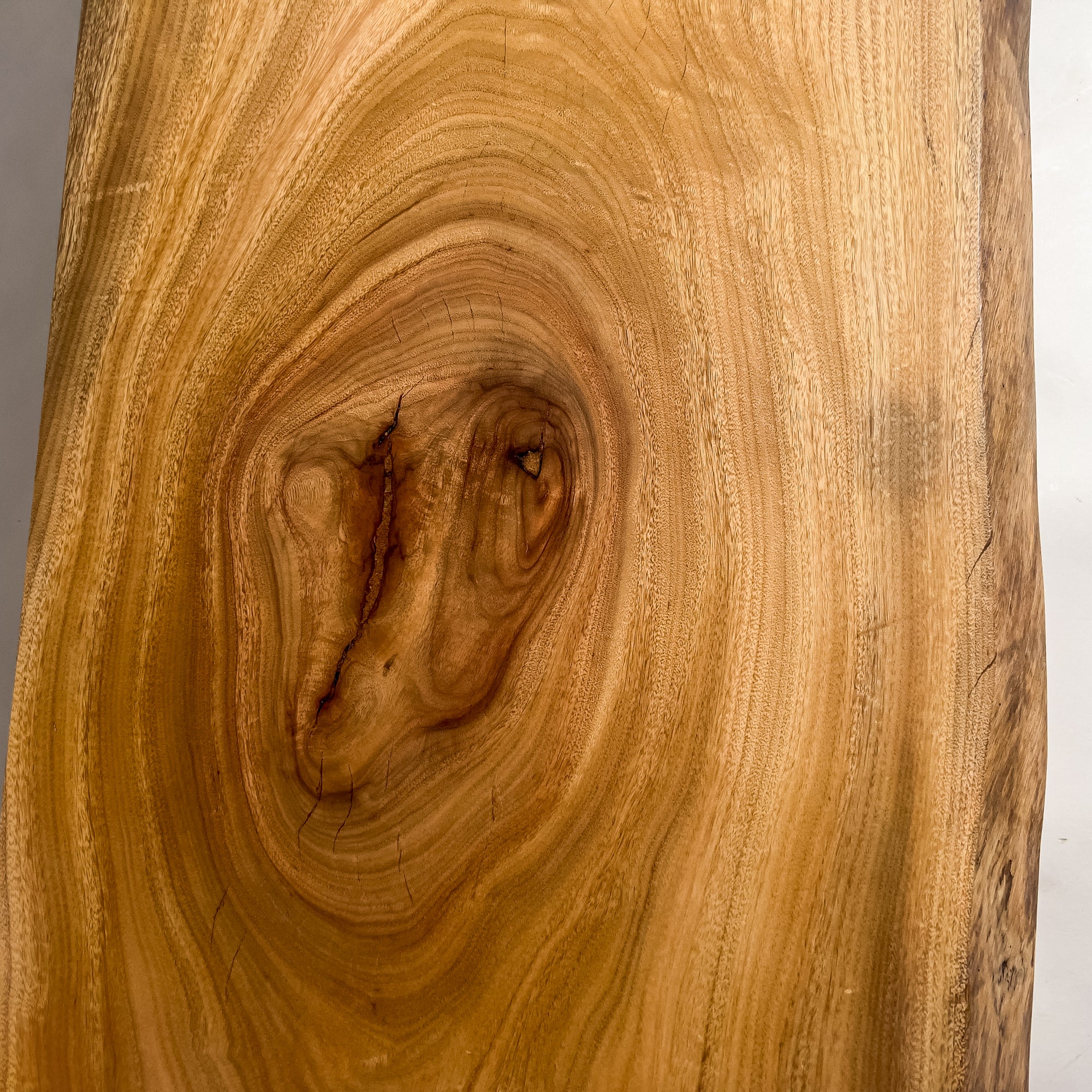 No.2073　楠（くす）/一枚板カウンター