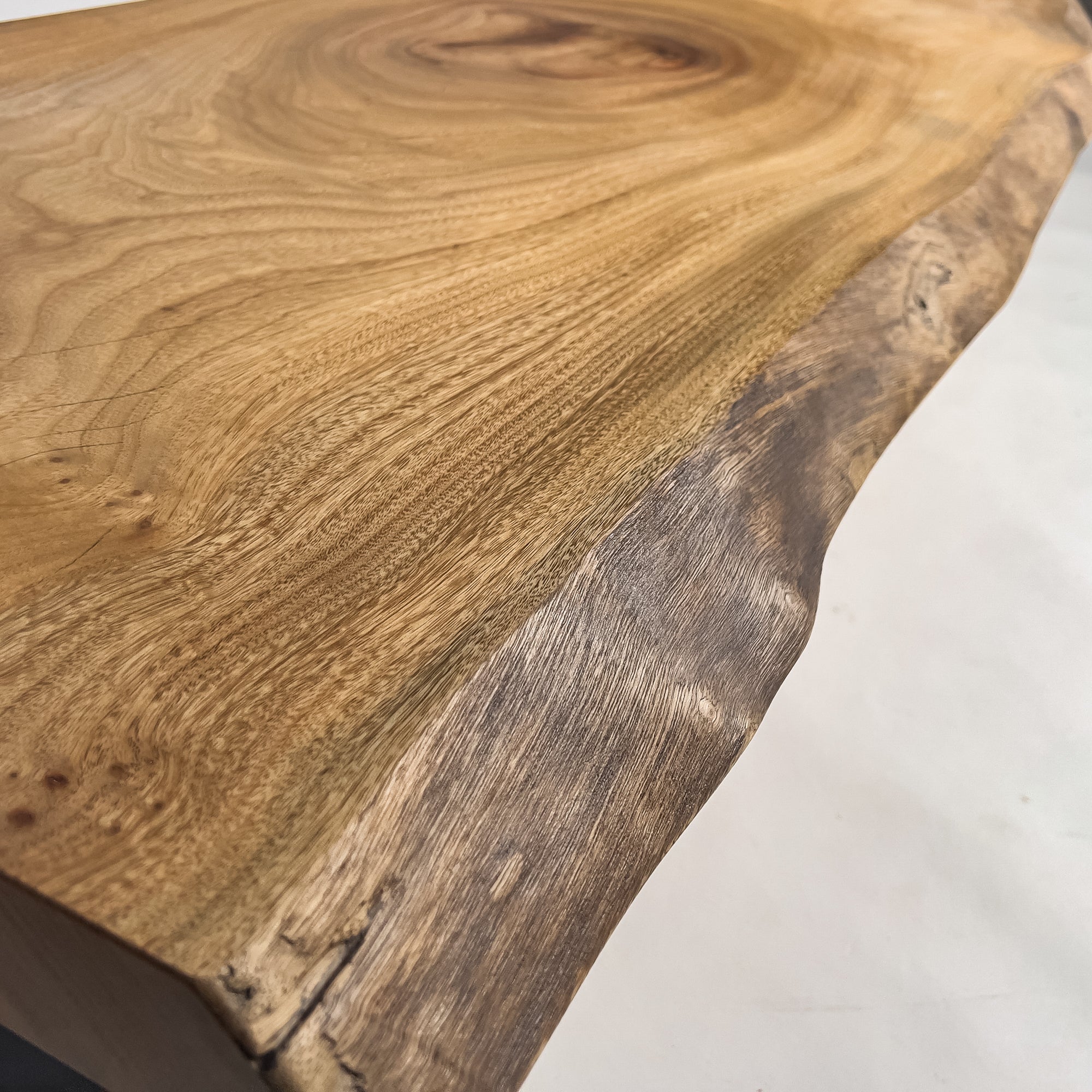 No.2073　楠（くす）/一枚板カウンター