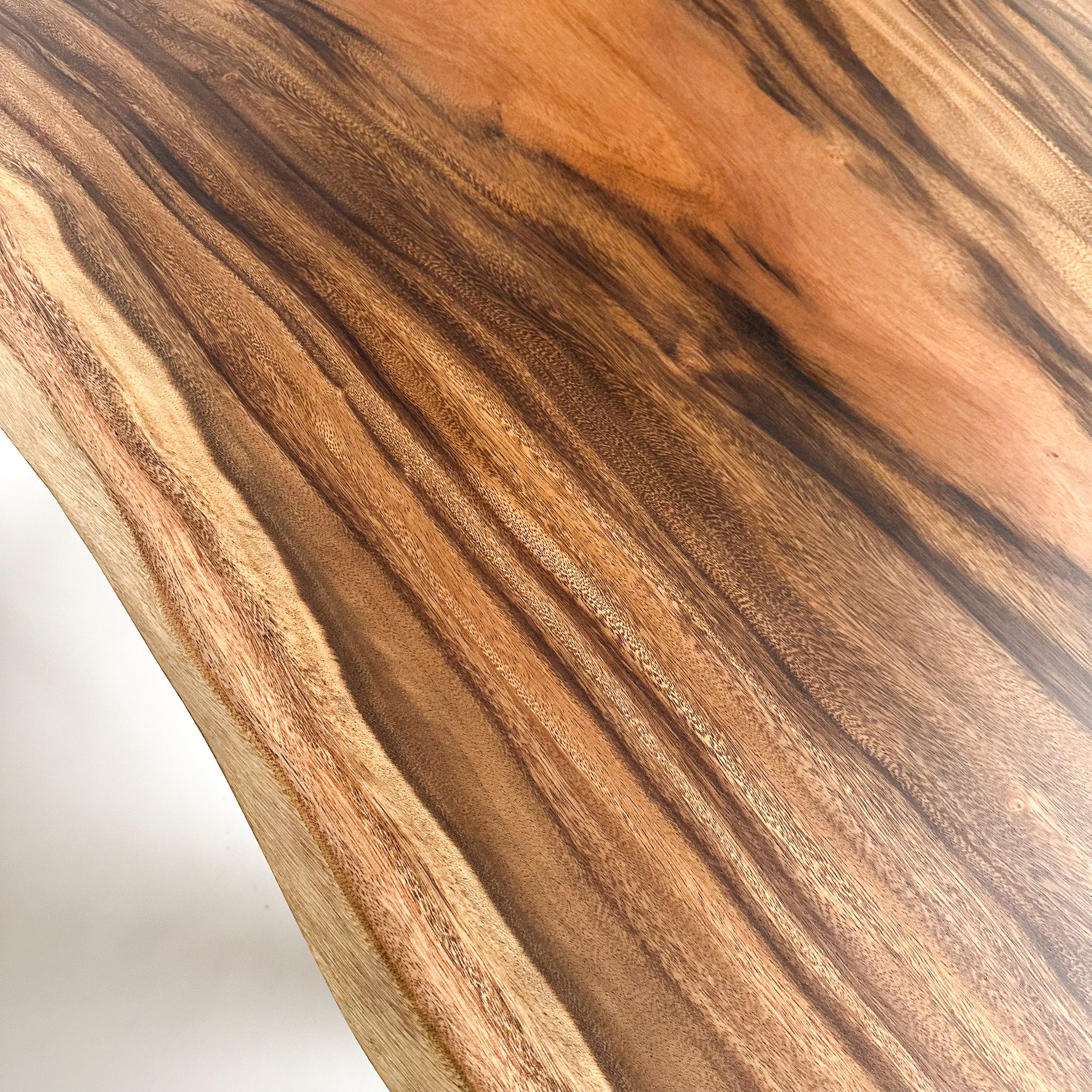 KIDO MEIMOKU モンキーポッド一枚板ダイニングテーブル｜200cm（6人