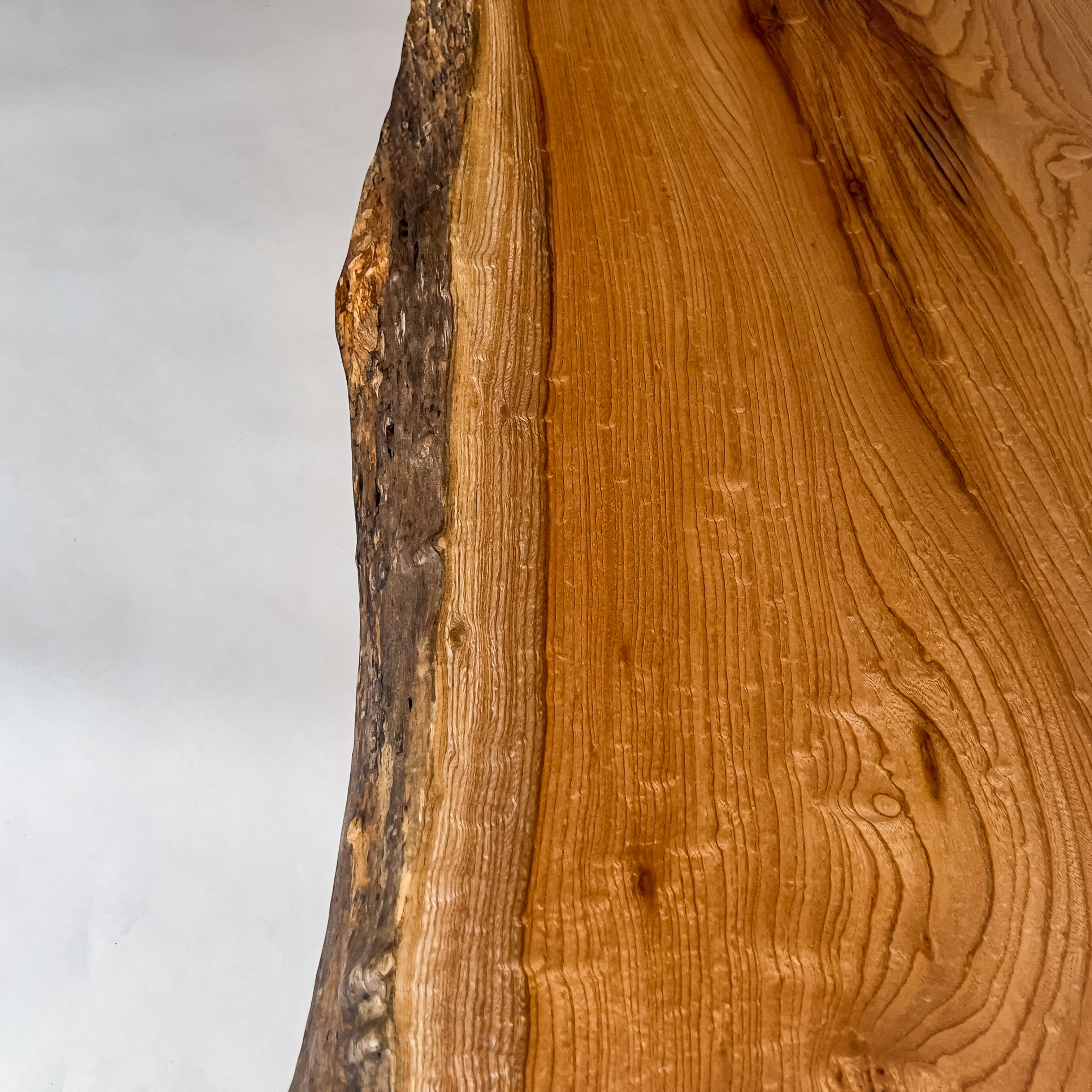 No.2081　欅（けやき）/一枚板座卓