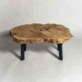 No.2133　ポプラ/一枚板ローテーブル