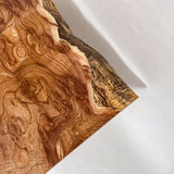 No.2018　センダン/一枚板ベンチ