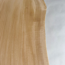 No.2106　楠（くす）/一枚板ローテーブル