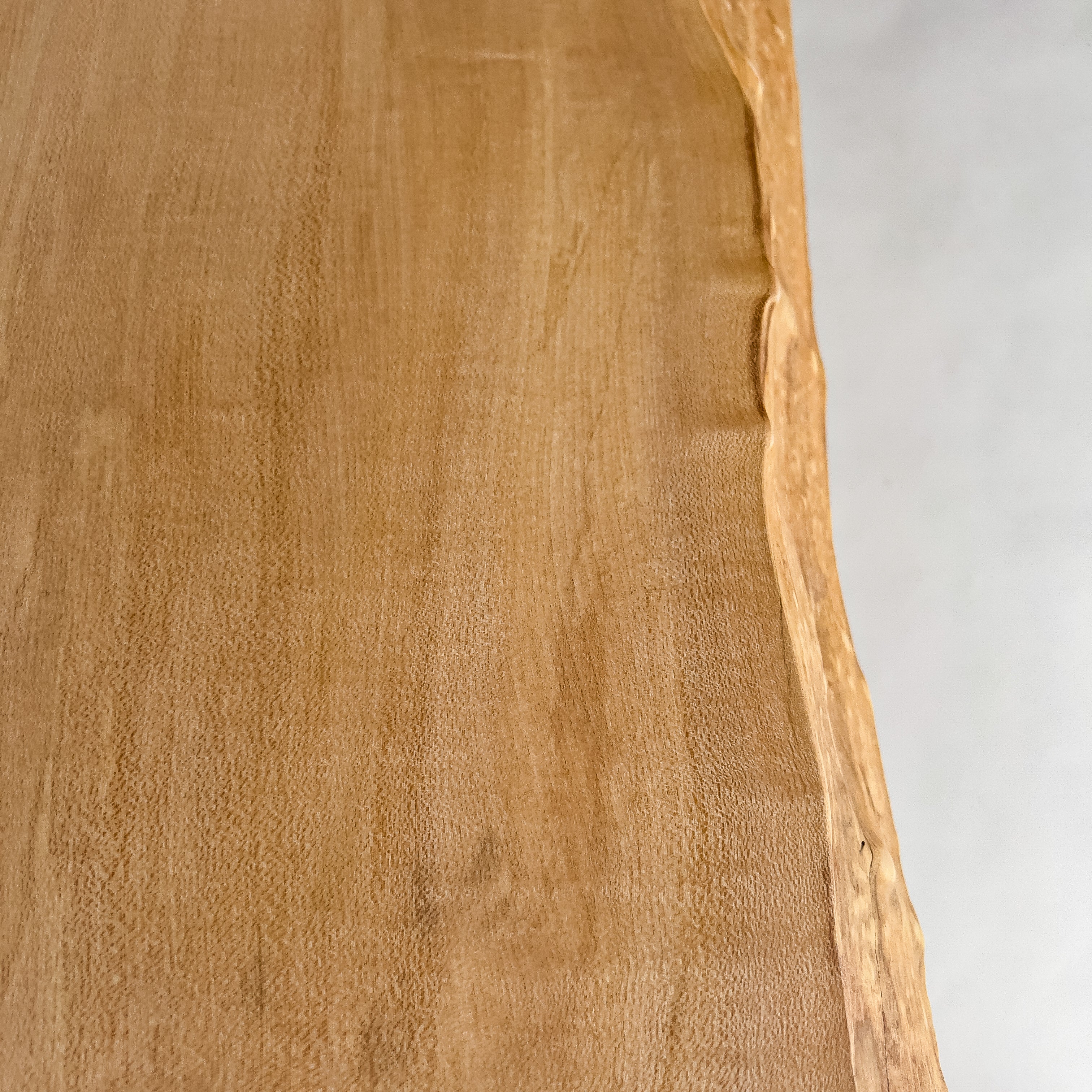 No.2144　楓（かえで）/一枚板カウンター