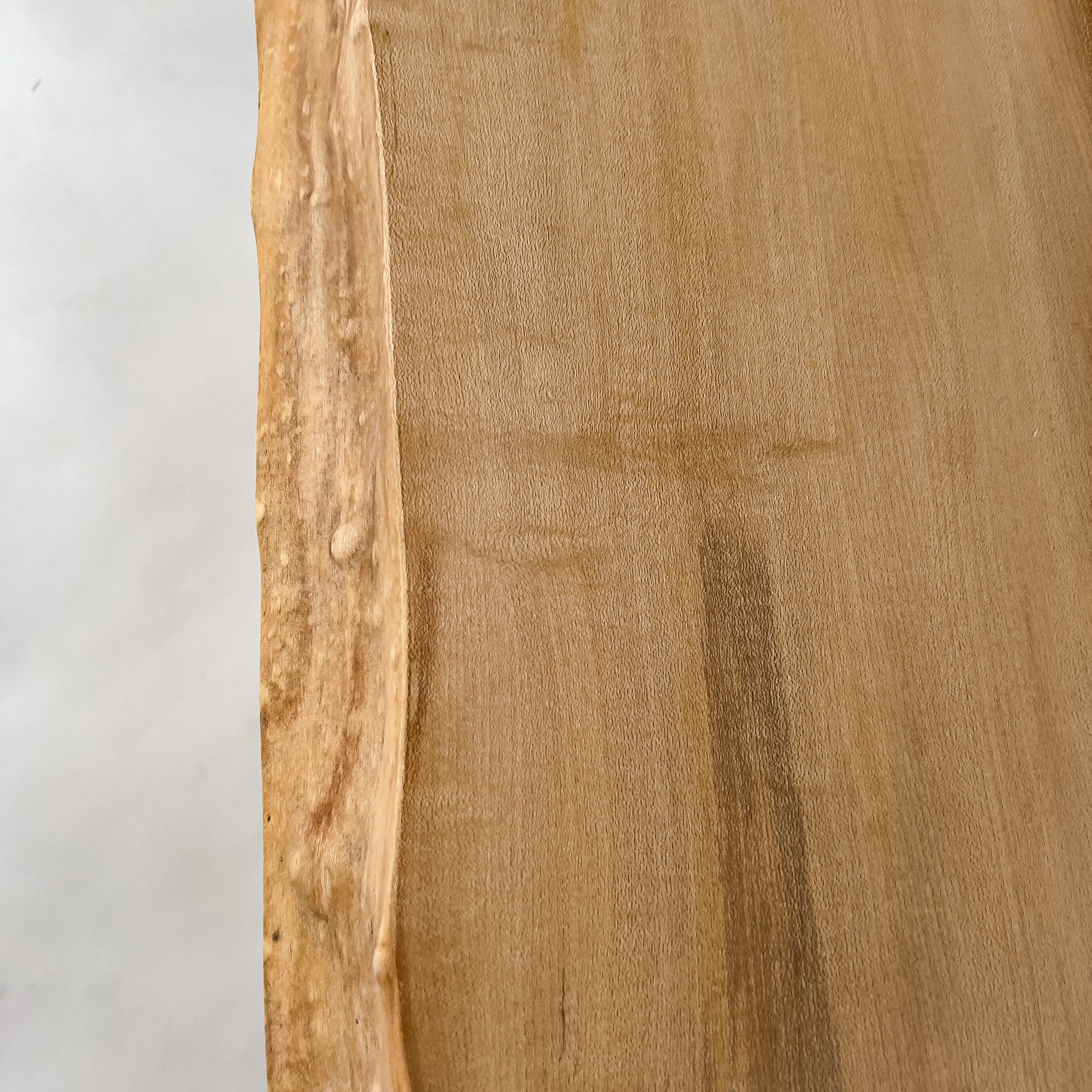 No.2144　楓（かえで）/一枚板カウンター