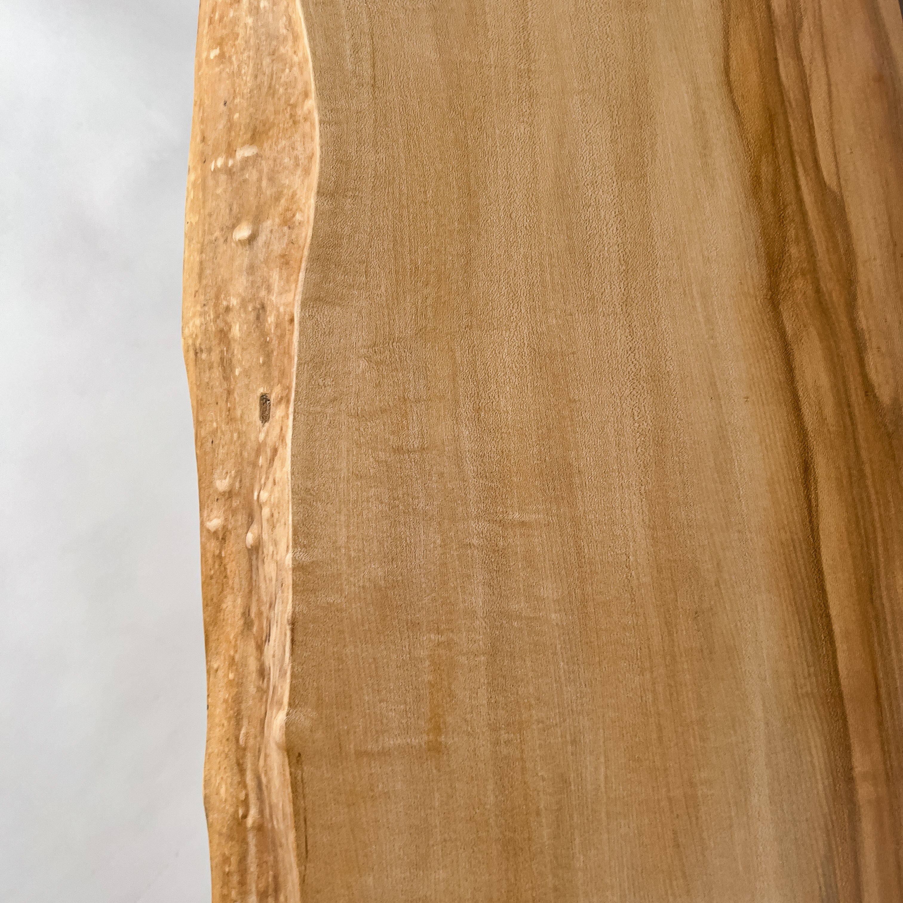 No.2144　楓（かえで）/一枚板カウンター