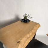 No.2151　銀杏（いちょう）/一枚板デスク