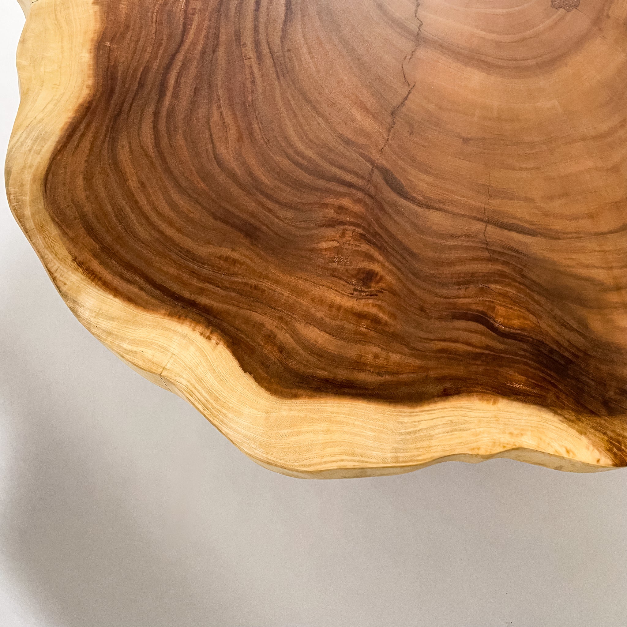 KIDO MEIMOKU モンキーポッド一枚板ダイニングテーブル｜130cm