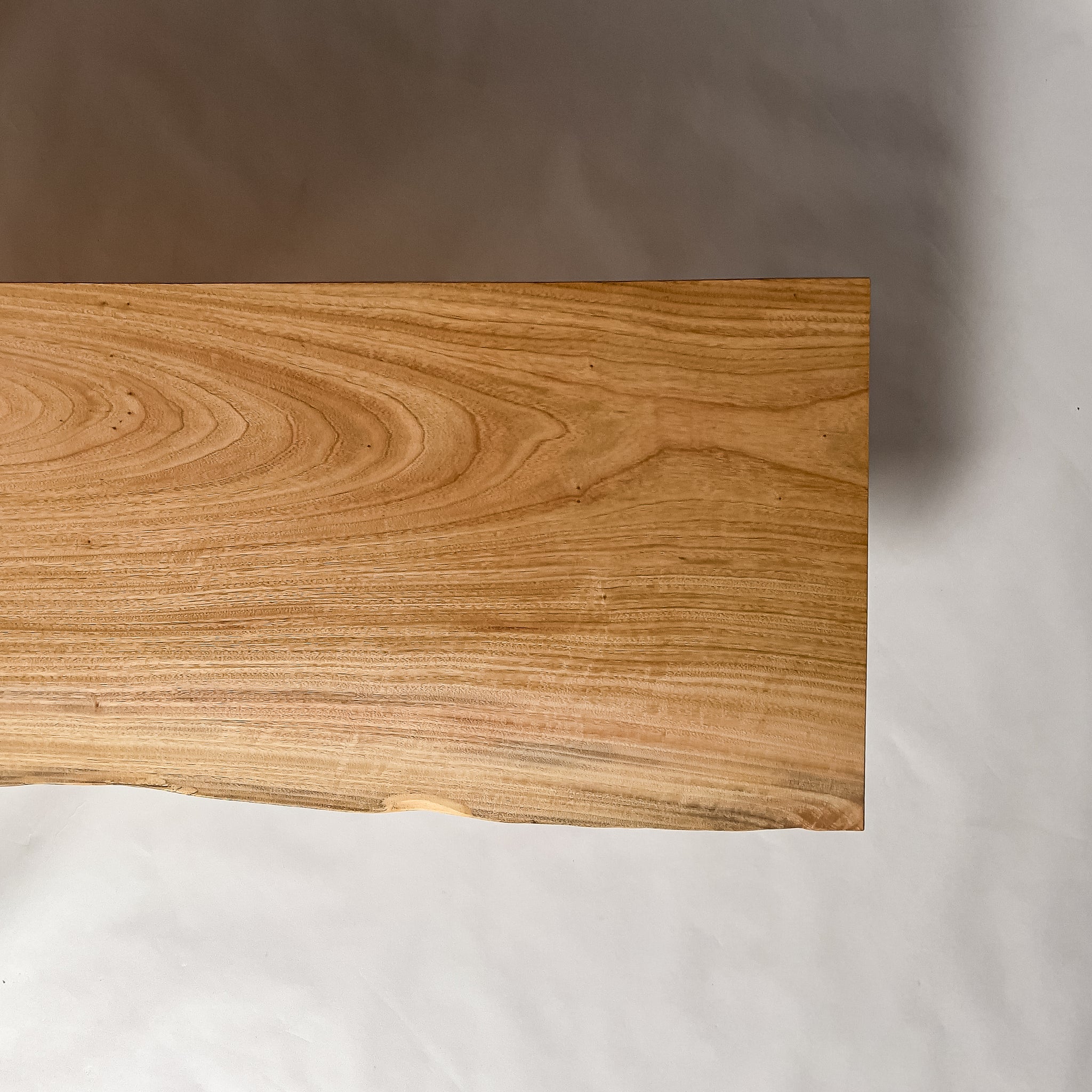 No.2105　楠（くす）/一枚板カウンター