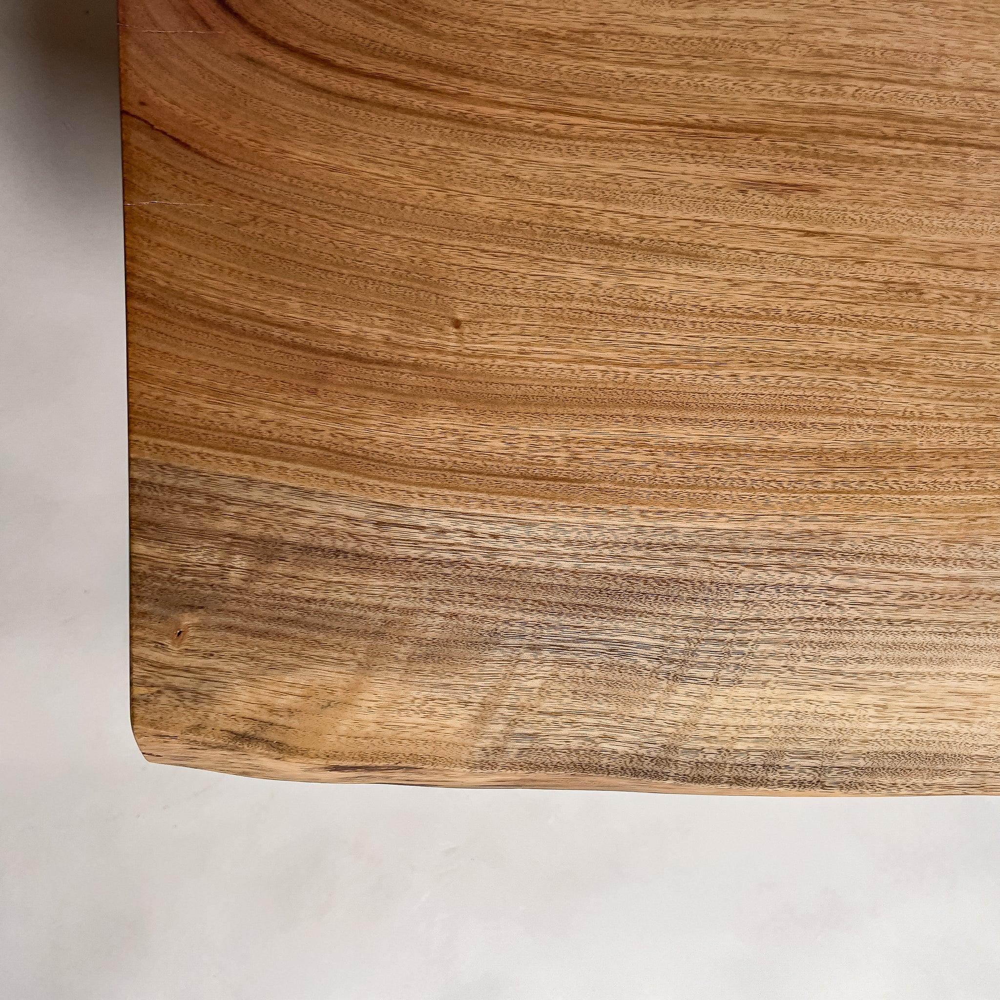 No.2105　楠（くす）/一枚板カウンター