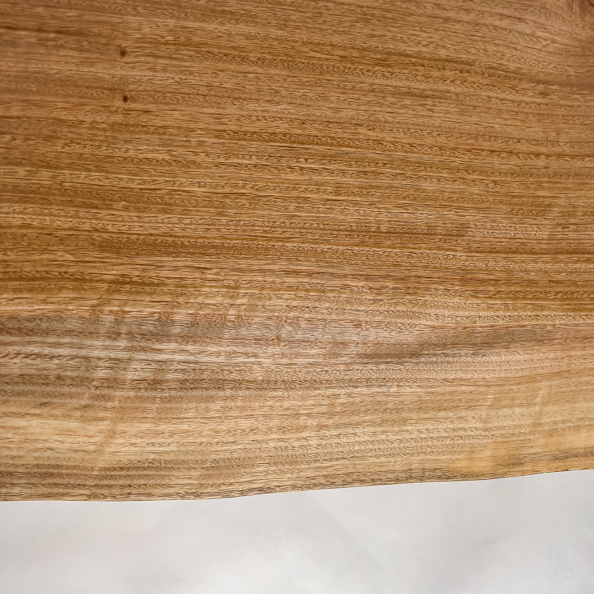 No.2105　楠（くす）/一枚板カウンター