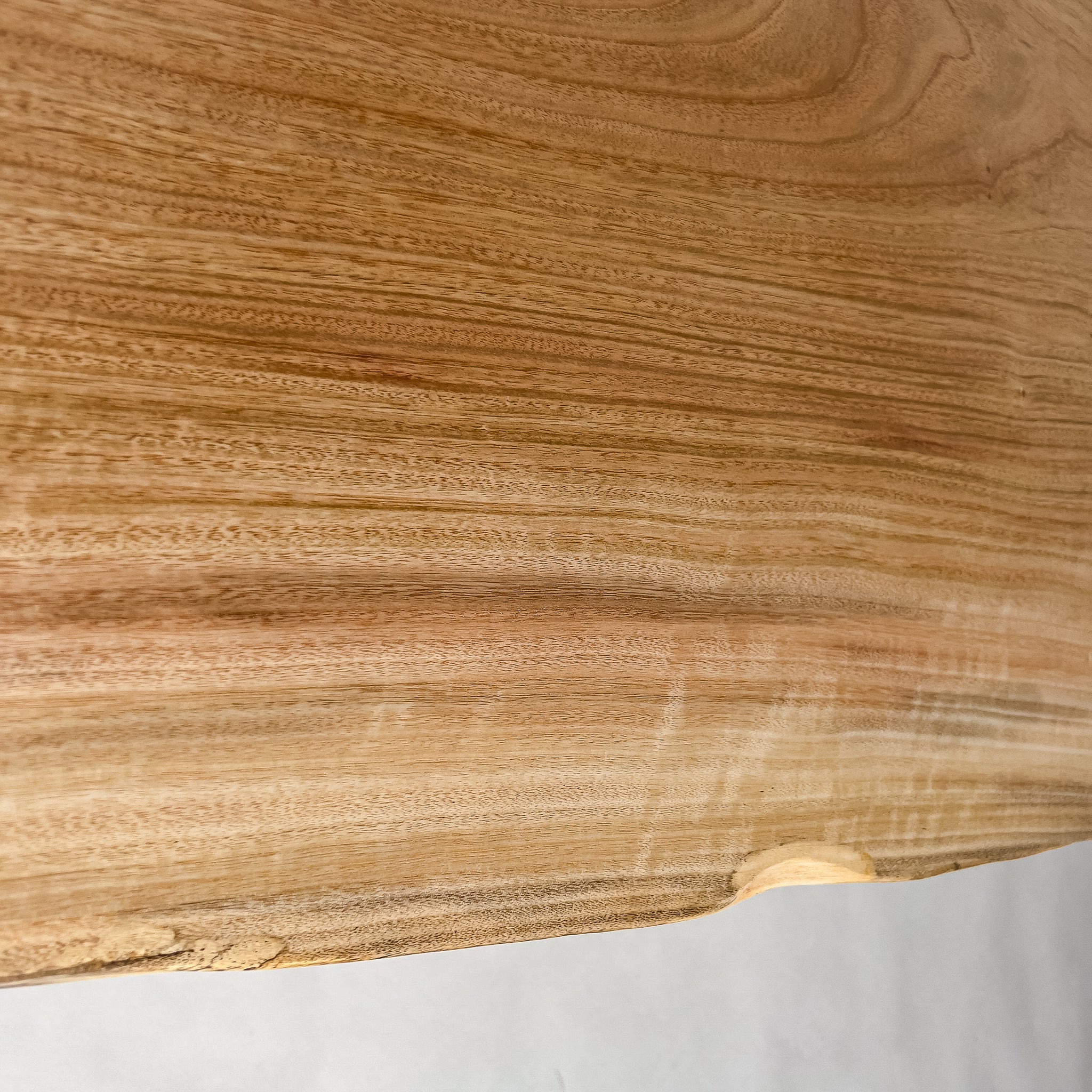 No.2105　楠（くす）/一枚板カウンター