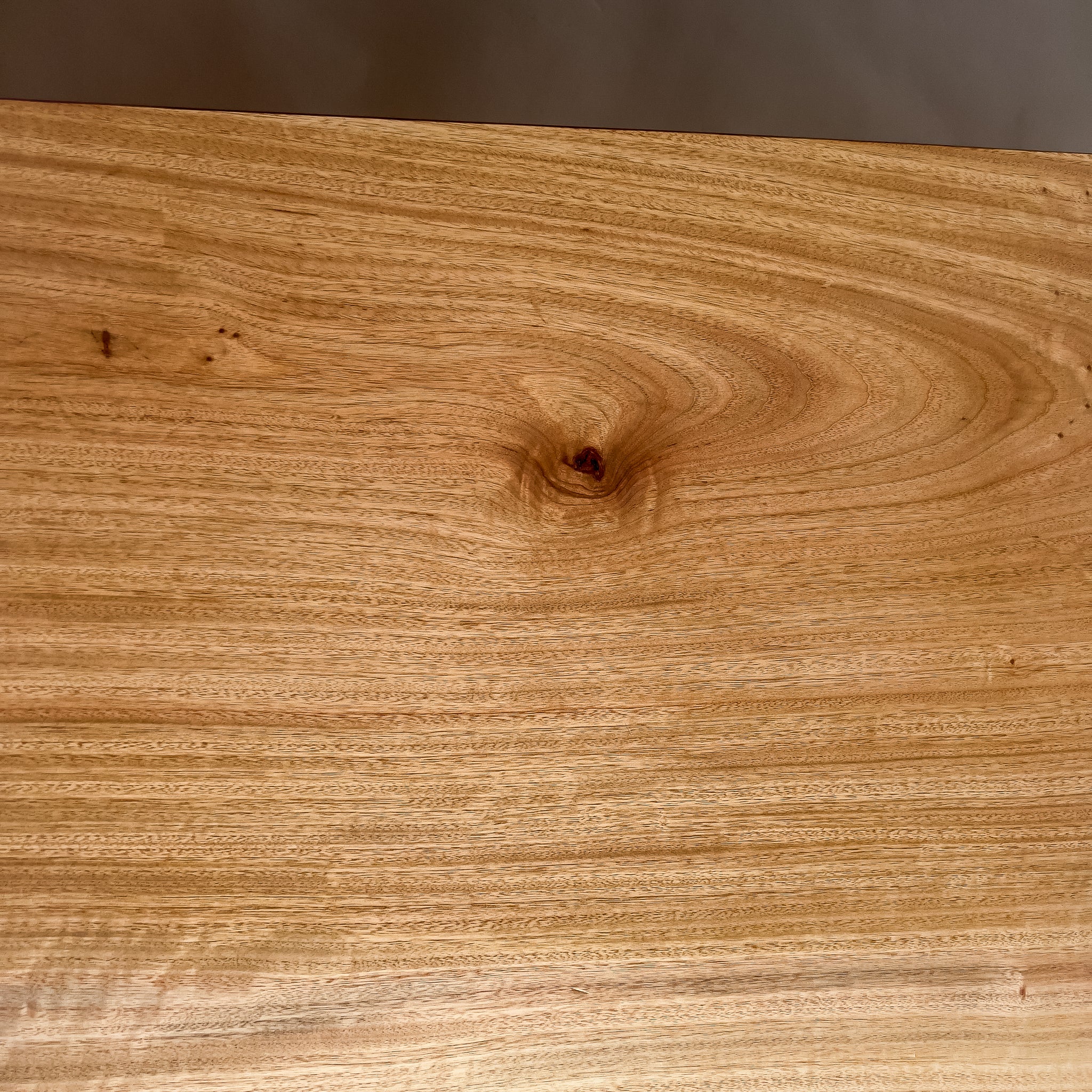 No.2105　楠（くす）/一枚板カウンター