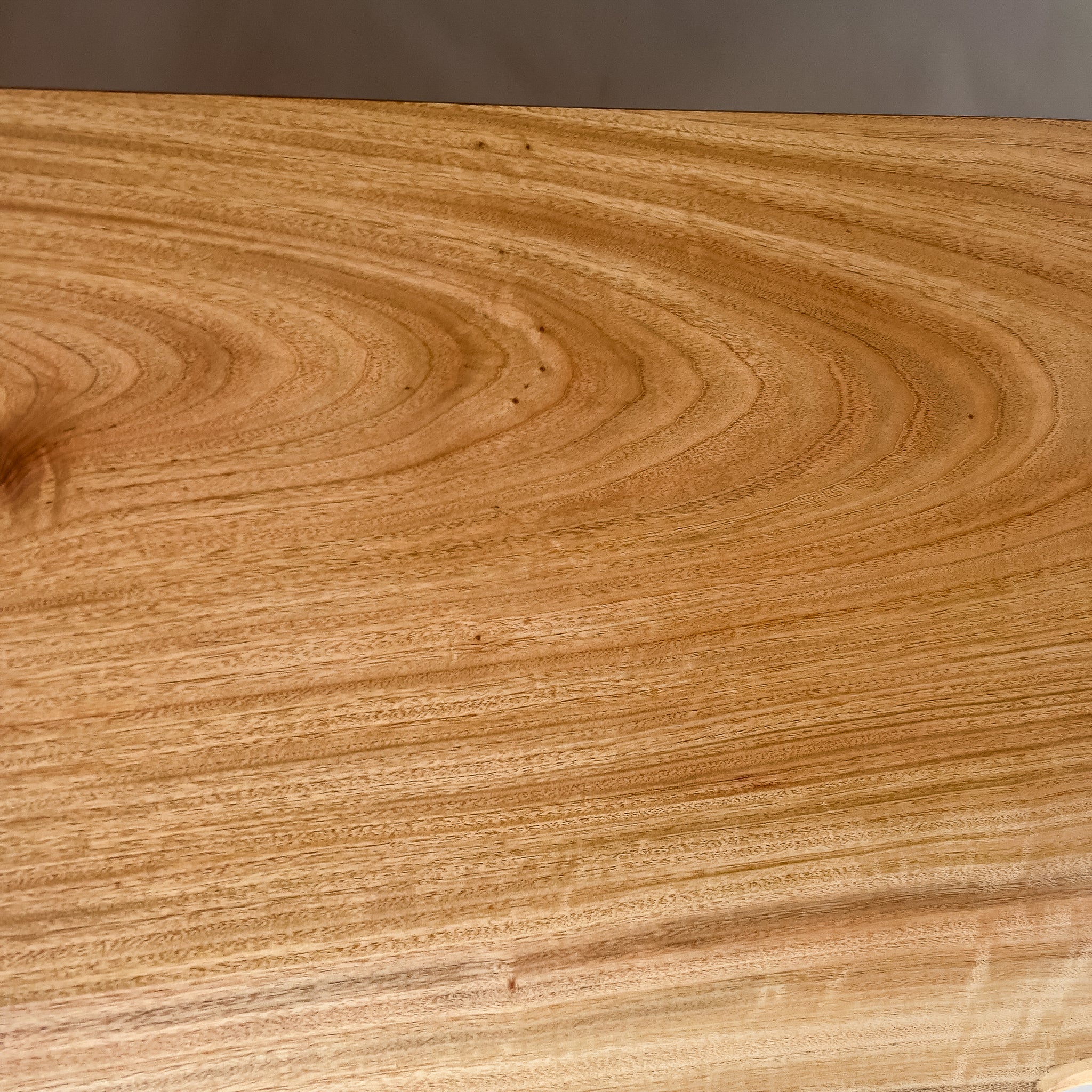 No.2105　楠（くす）/一枚板カウンター