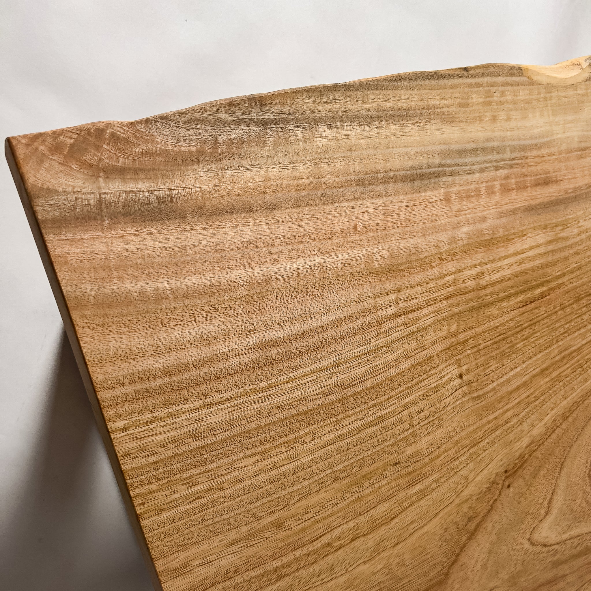 No.2105　楠（くす）/一枚板カウンター