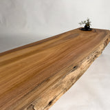 No.2114　欅（けやき）/一枚板ベンチ