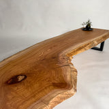 No.2126　欅（けやき）/一枚板ベンチ