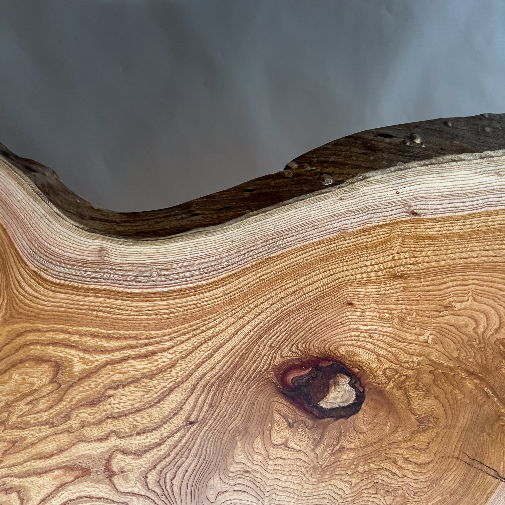 No.2126　欅（けやき）/一枚板カウンター