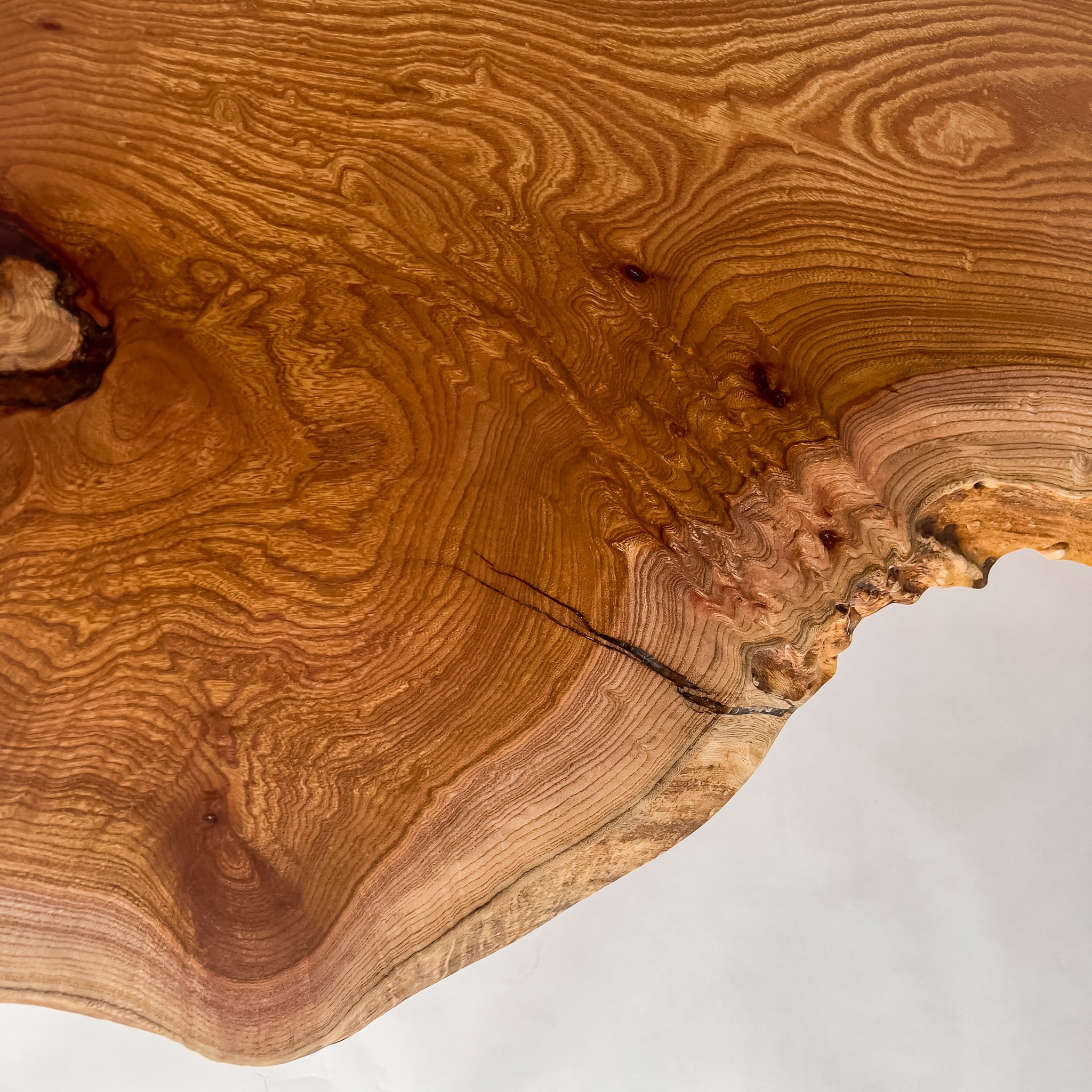 No.2126　欅（けやき）/一枚板カウンター