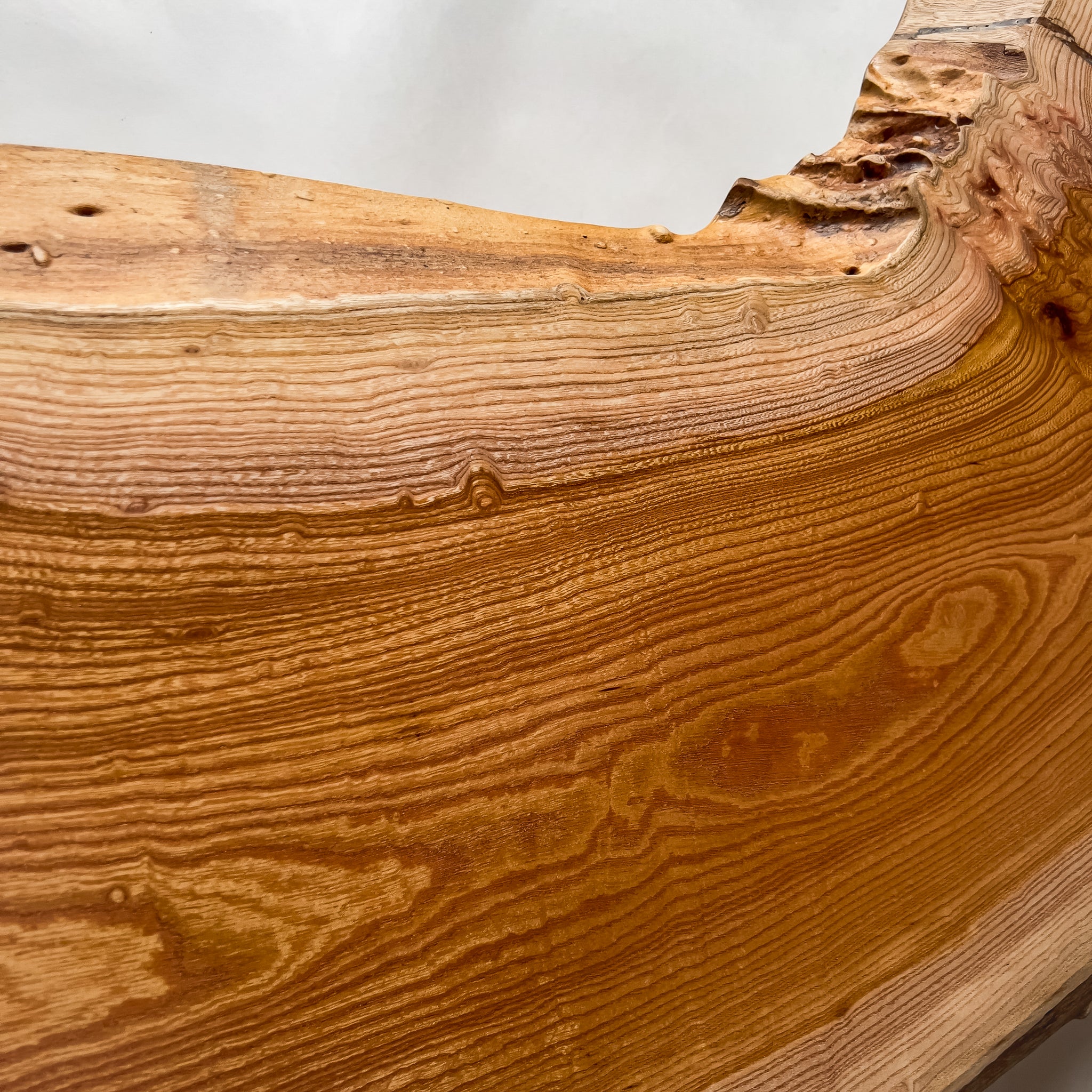 No.2126　欅（けやき）/一枚板カウンター