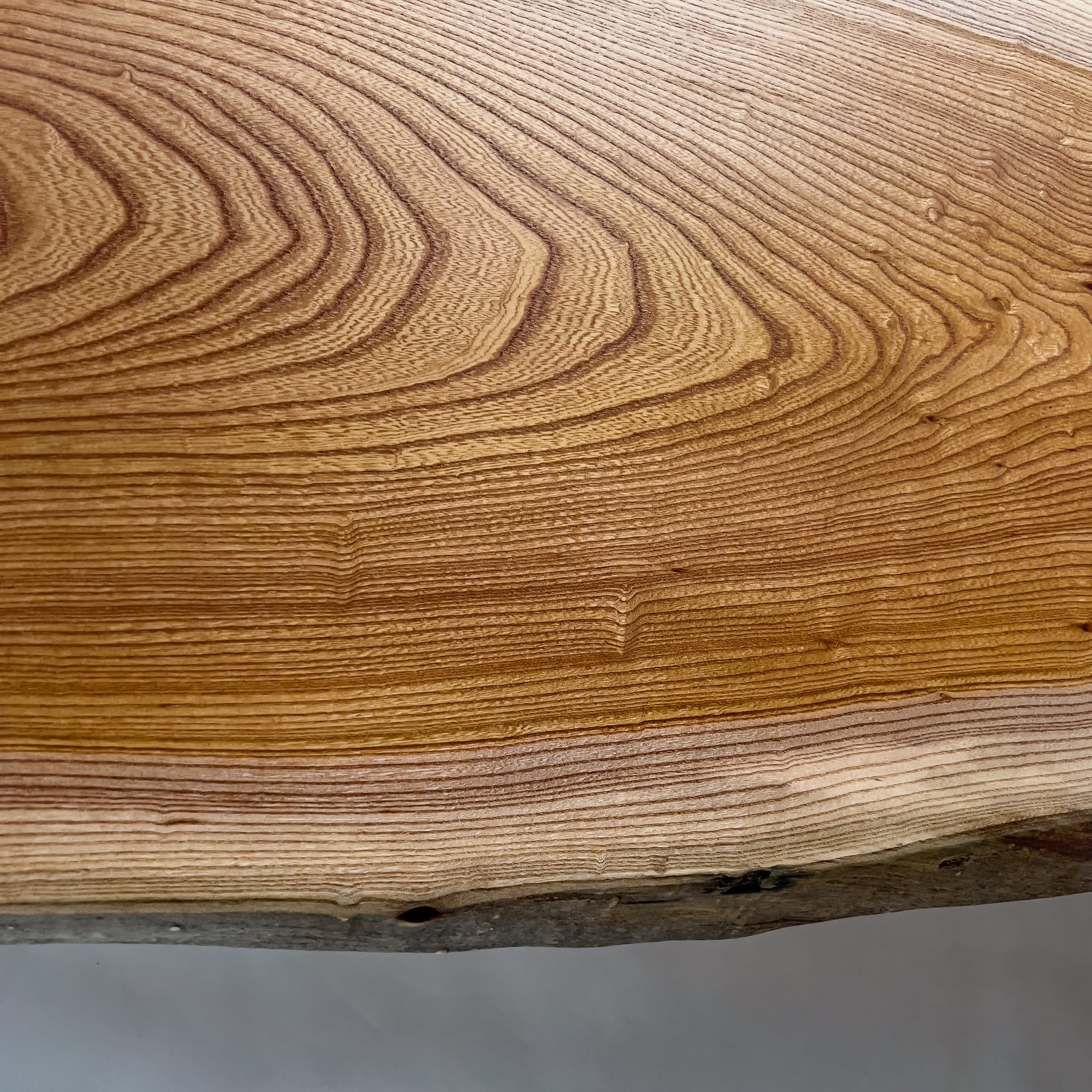 No.2126　欅（けやき）/一枚板カウンター