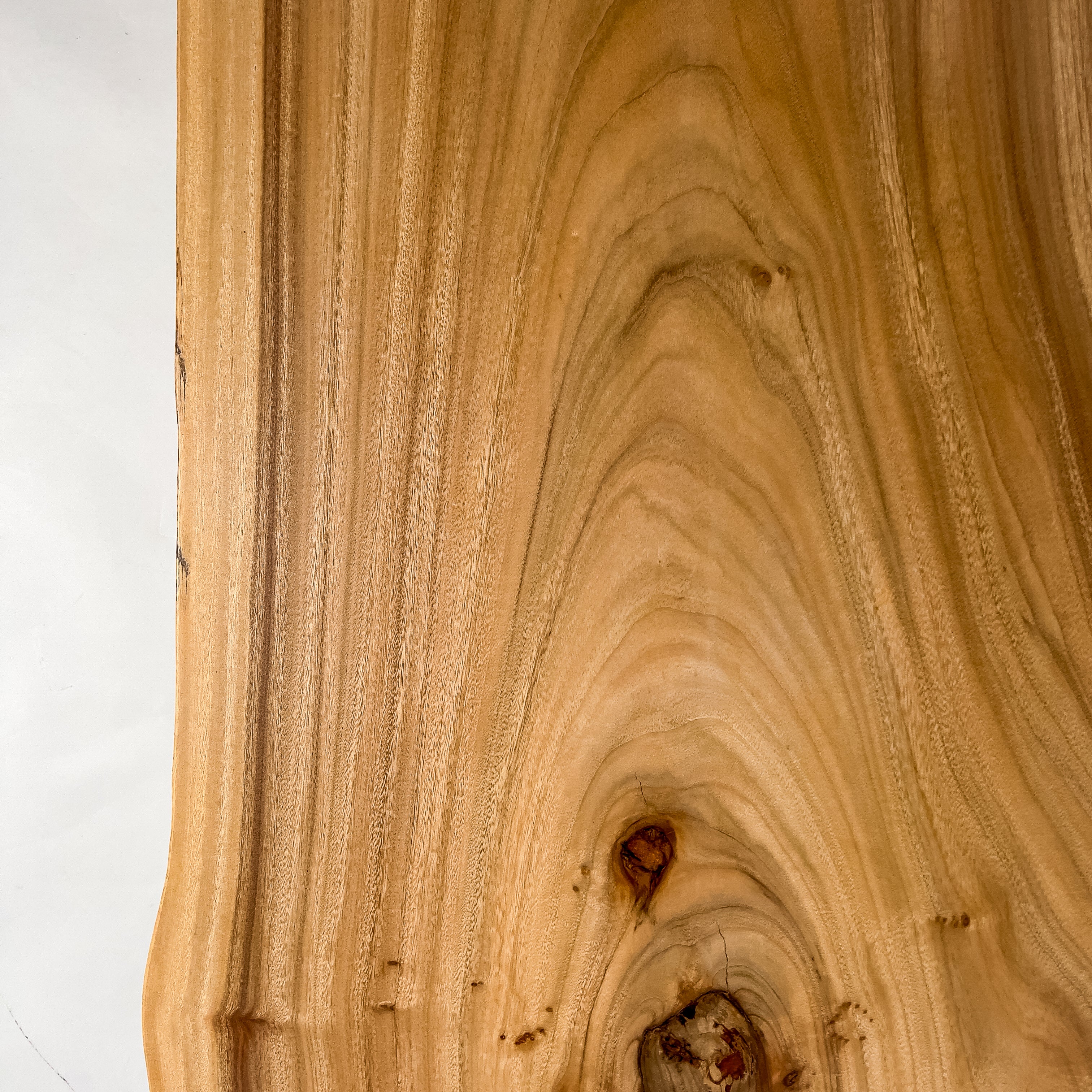 No.2094　楠（くす）/一枚板リビングテーブル