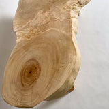 No.2049　栃（とち）/一枚板ローテーブル