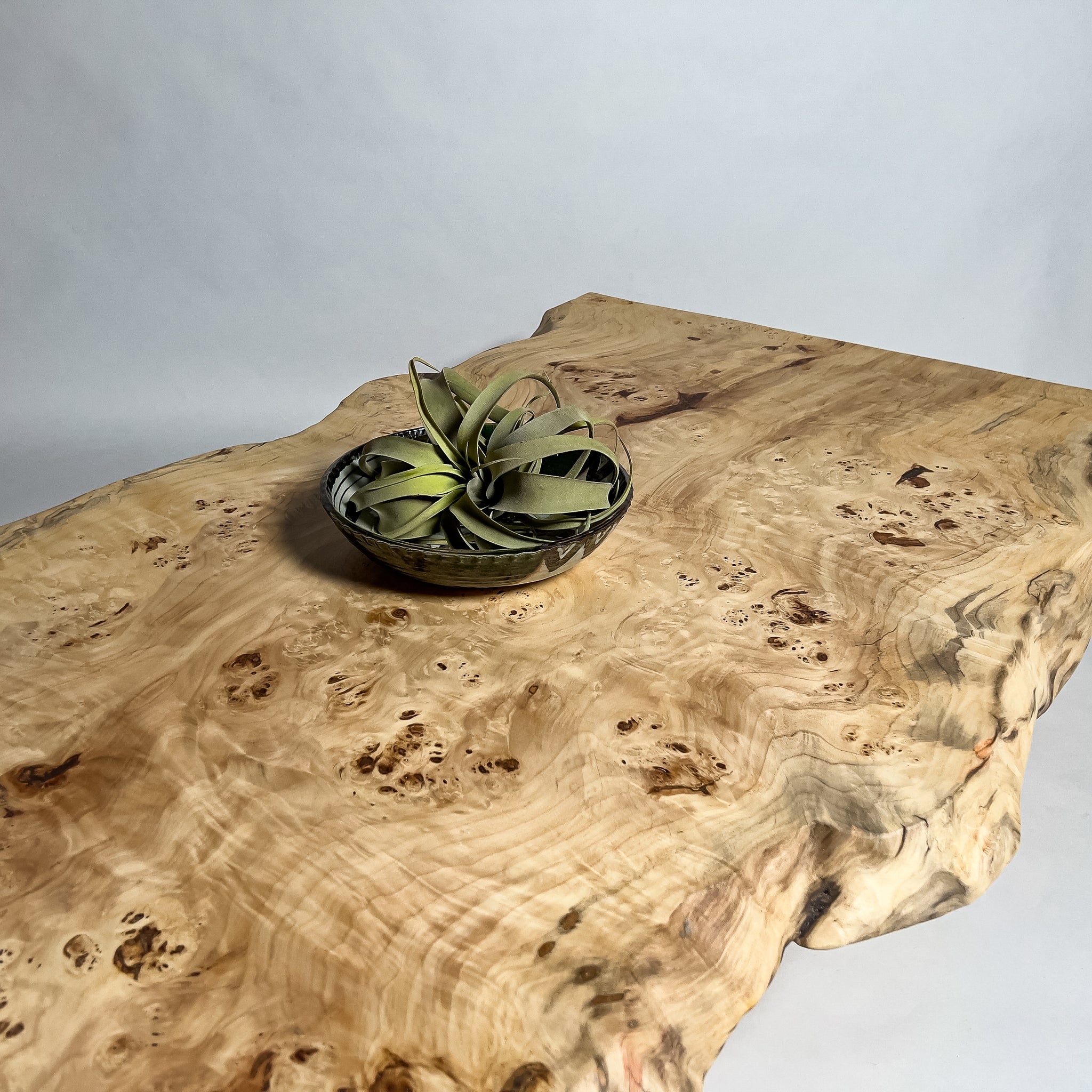 No.2088　ポプラ/一枚板座卓