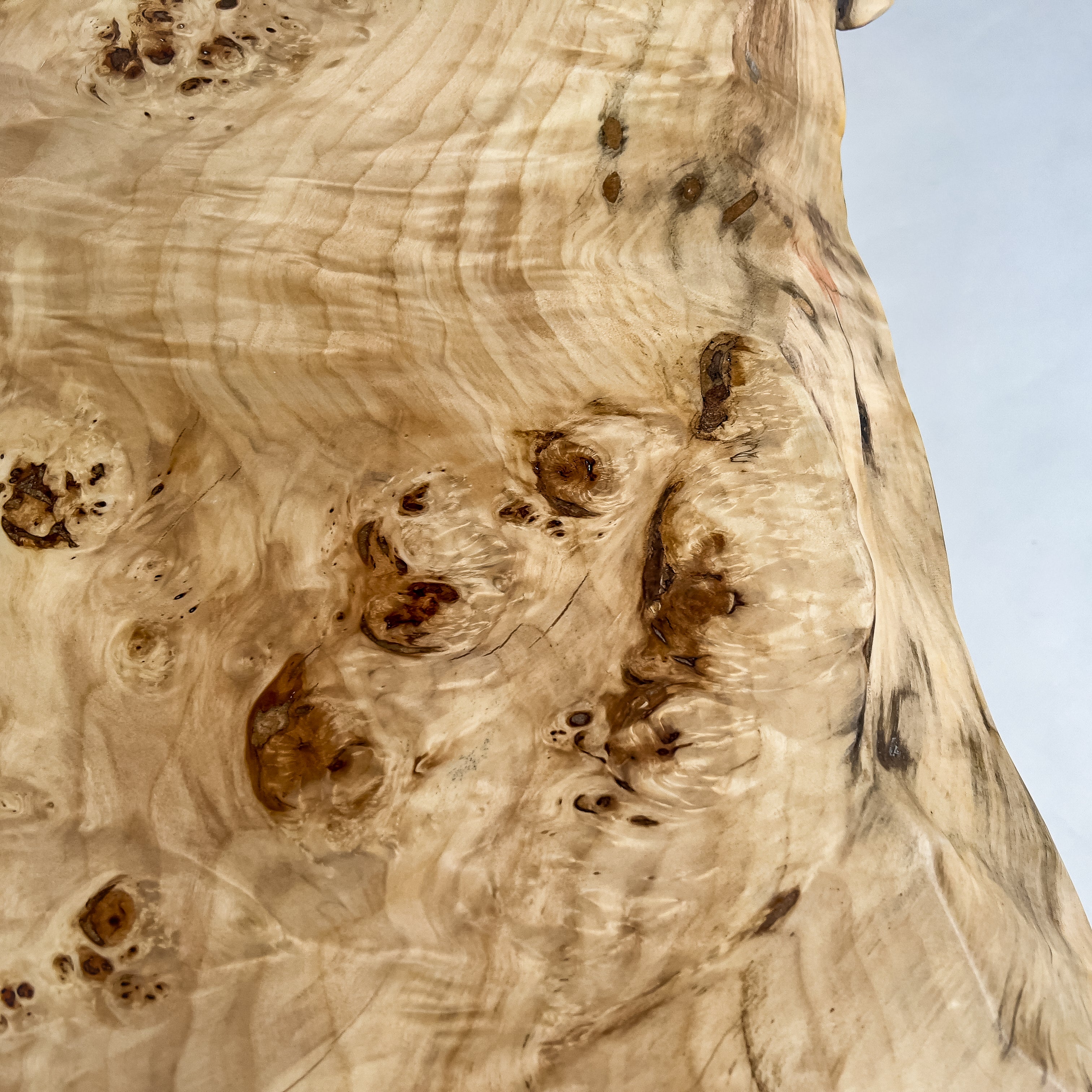 No.2088　ポプラ/一枚板座卓