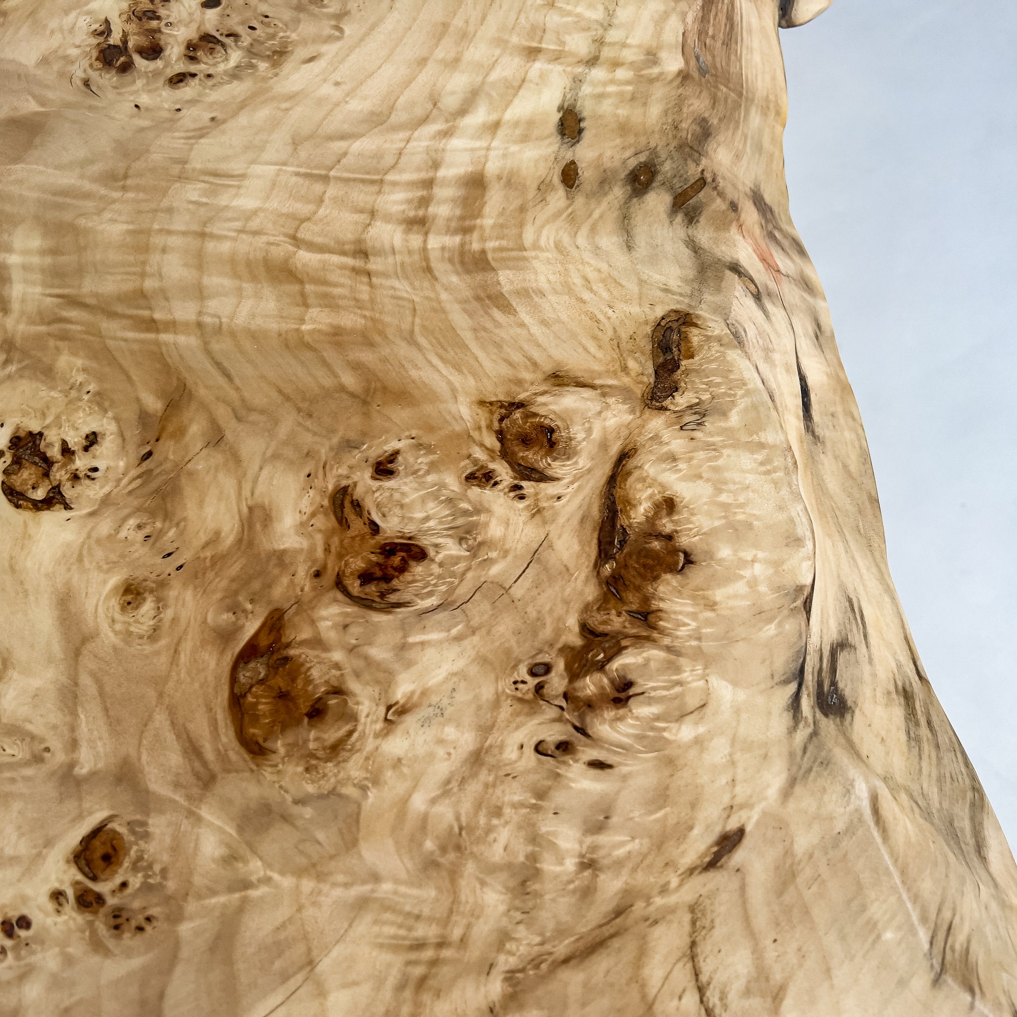 No.2088　ポプラ/一枚板座卓