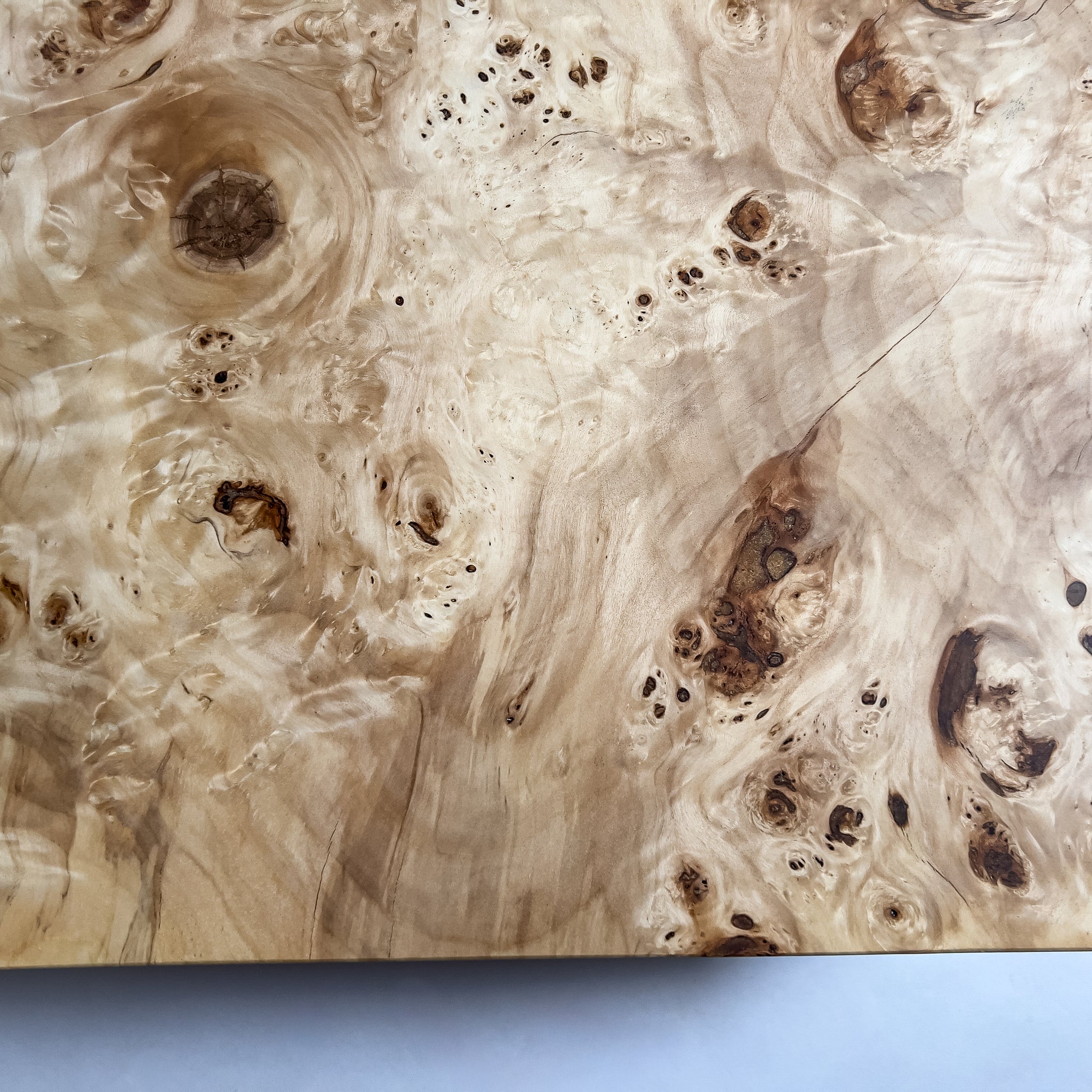 No.2088　ポプラ/一枚板座卓