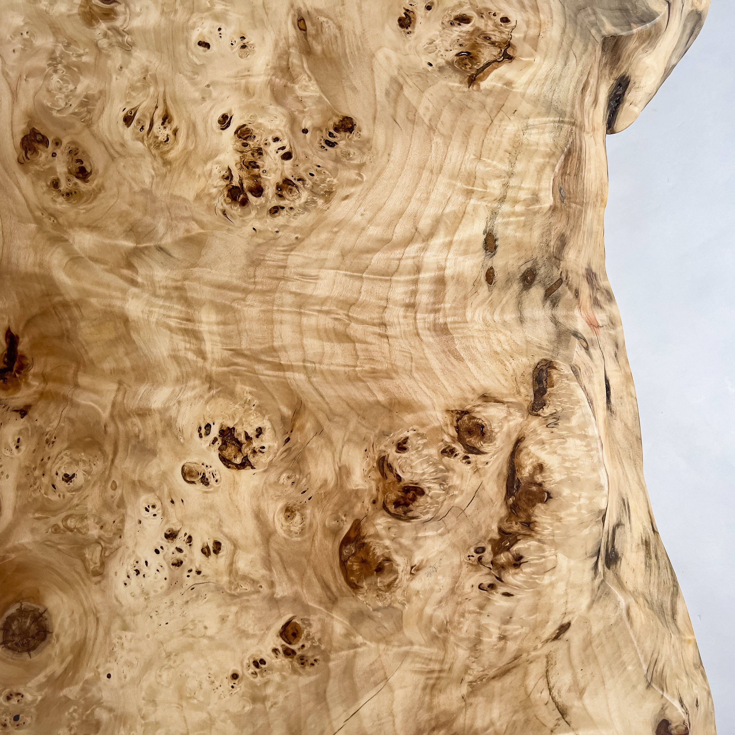 No.2088　ポプラ/一枚板座卓