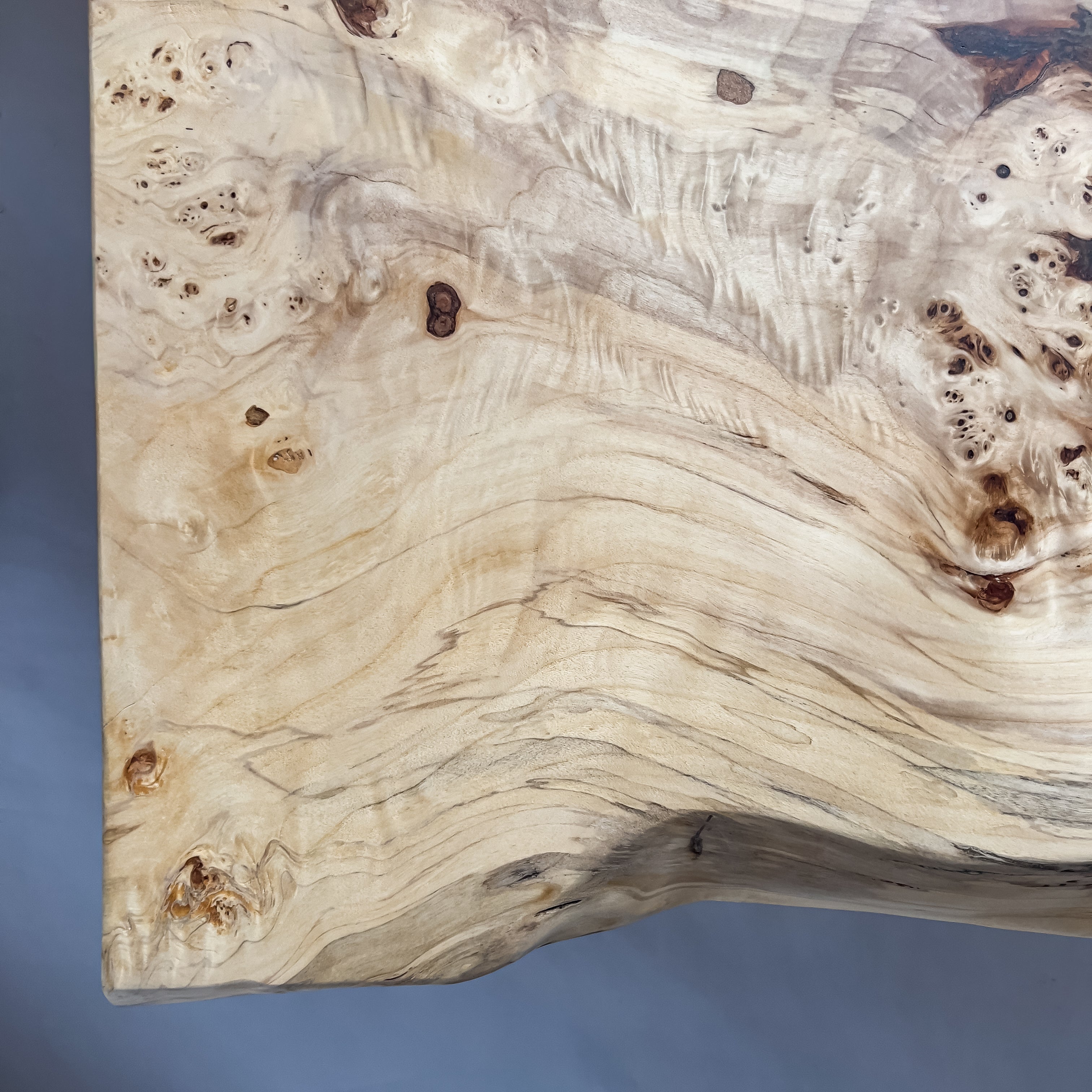 No.2088　ポプラ/一枚板座卓