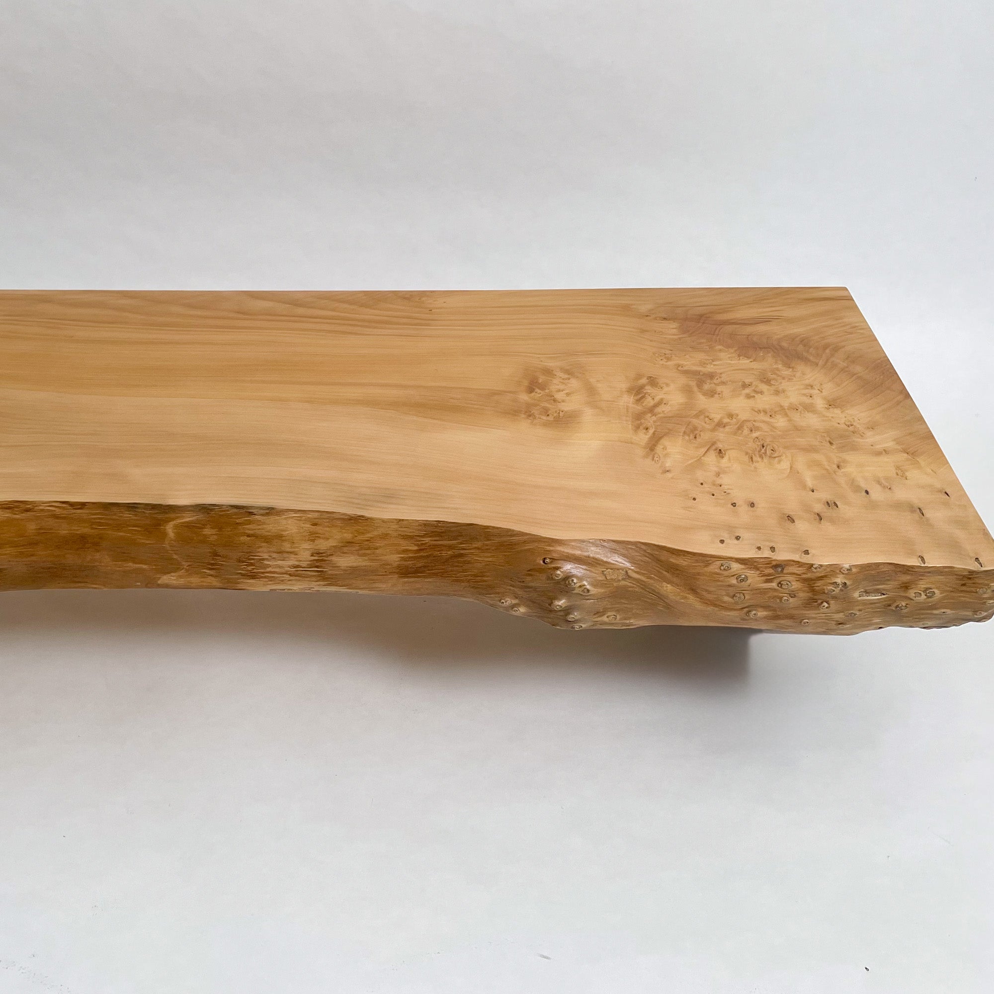 KIDO MEIMOKU 銀杏（いちょう）一枚板カウンター 天板のみ｜170cm