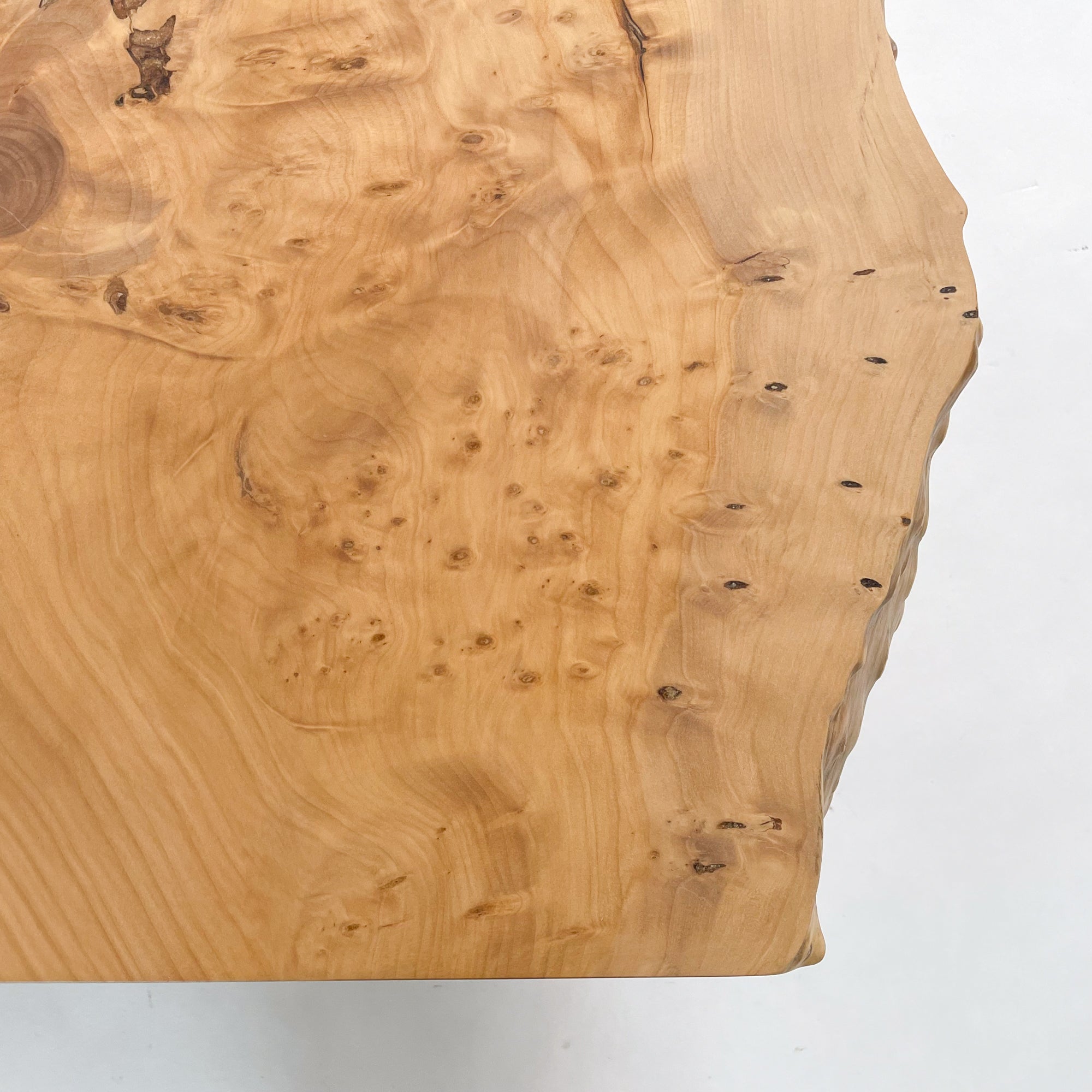 木製台(いちょう) KIDO MEIMOKU 銀杏（いちょう）一枚板カウンター 天板のみ｜170cm