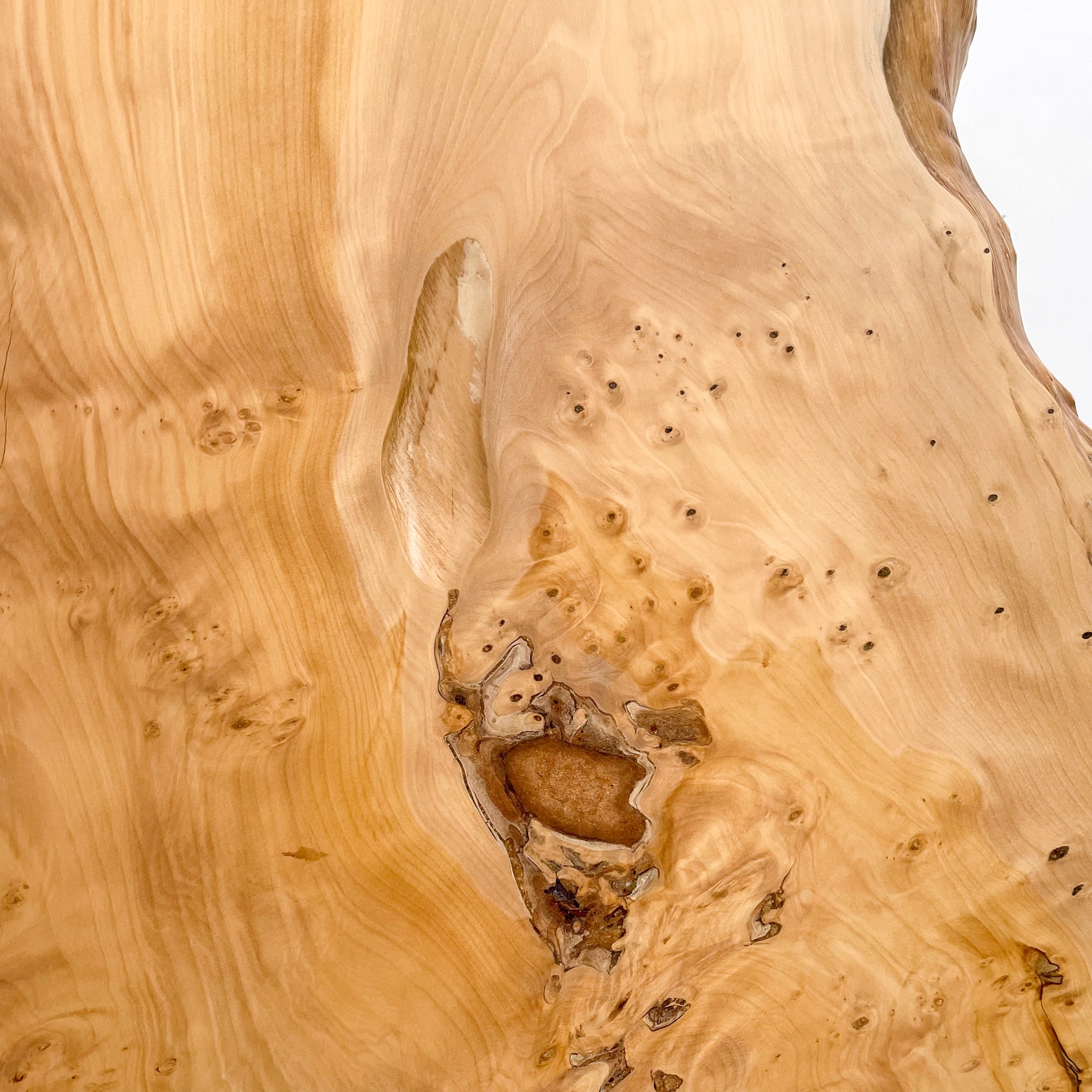 KIDO MEIMOKU 銀杏（いちょう）一枚板カウンター 天板のみ｜170cm