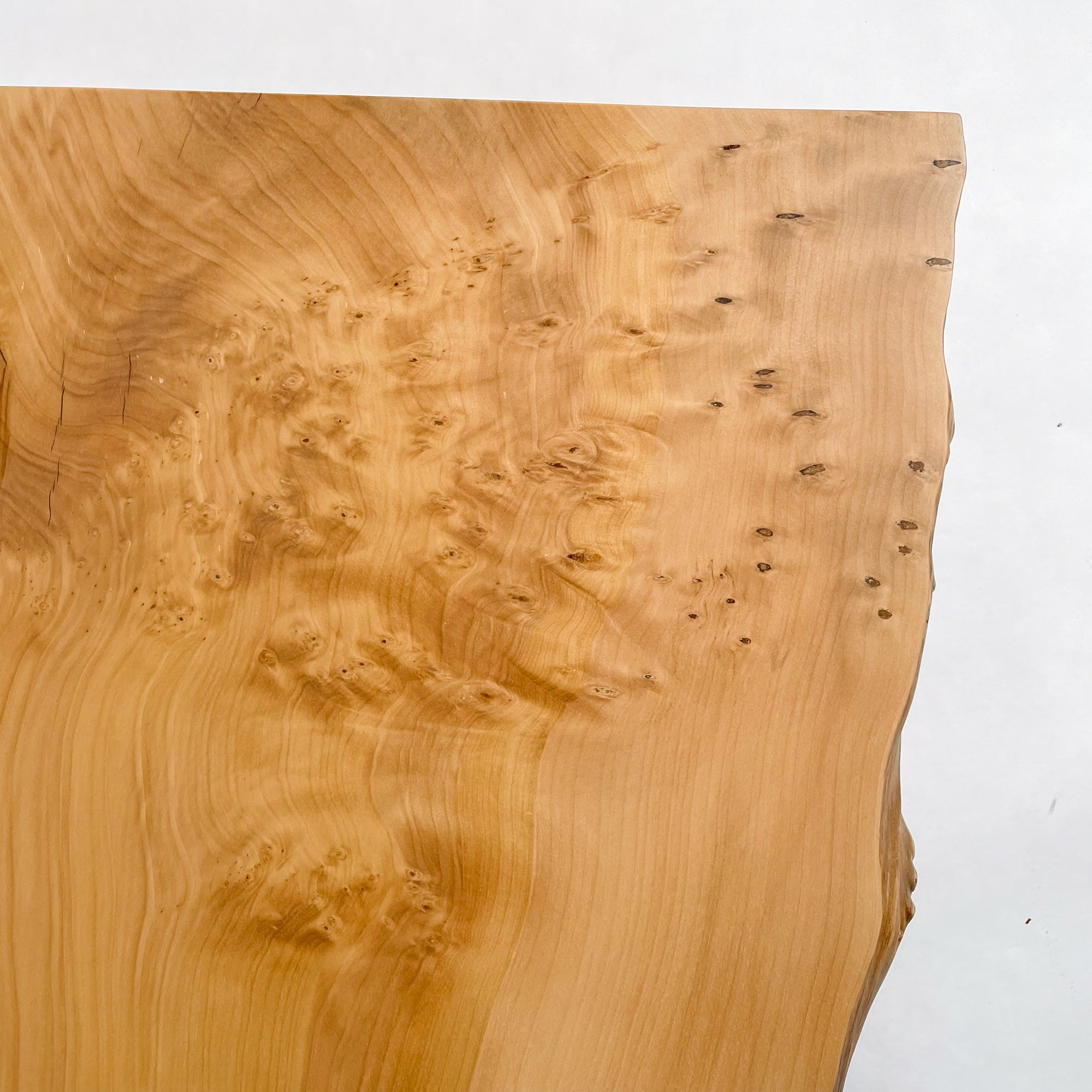 KIDO MEIMOKU イチョウ一枚板ベンチ｜170cm(2人掛け) – 【公式】鬼童