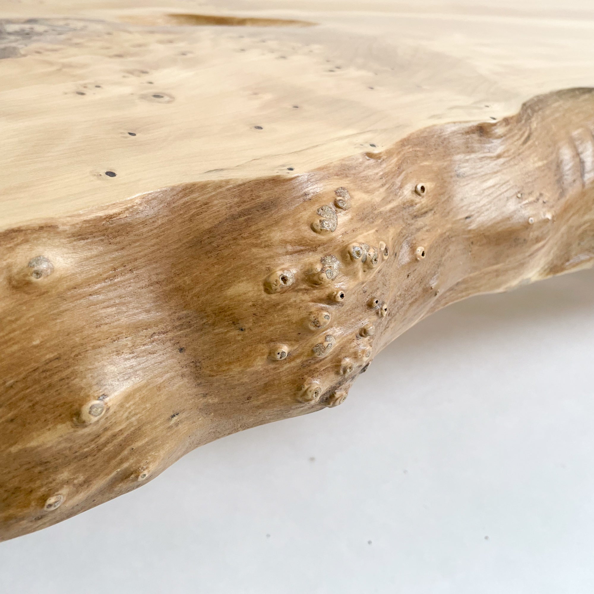 KIDOMEIMOKU イチョウ一枚板カウンター｜170cm(2人掛け) – 【公式