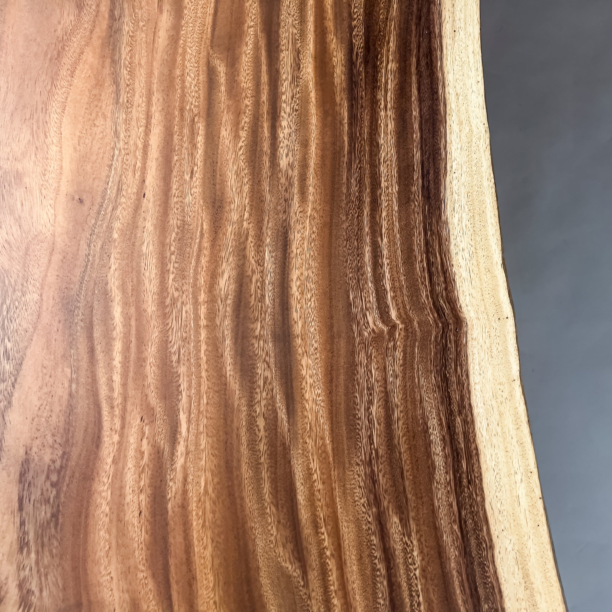 No.2142　モンキーポッド/一枚板リビングテーブル