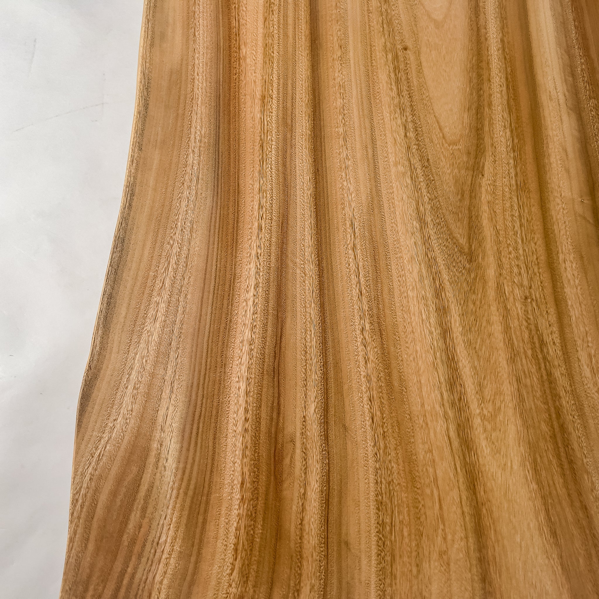 No.2163　楠（くす）/一枚板座卓