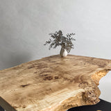 No.2134　ポプラ/一枚板デスク