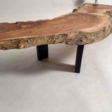 No.2090　欅（けやき）/一枚板ベンチ