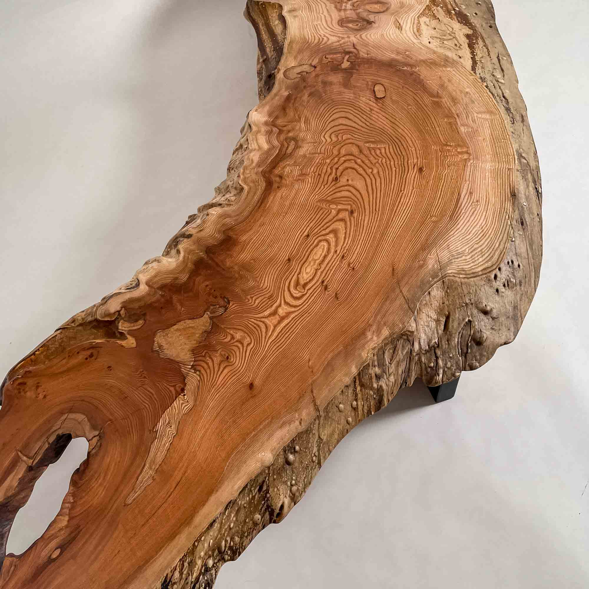 No.2090　欅（けやき）/一枚板カウンター