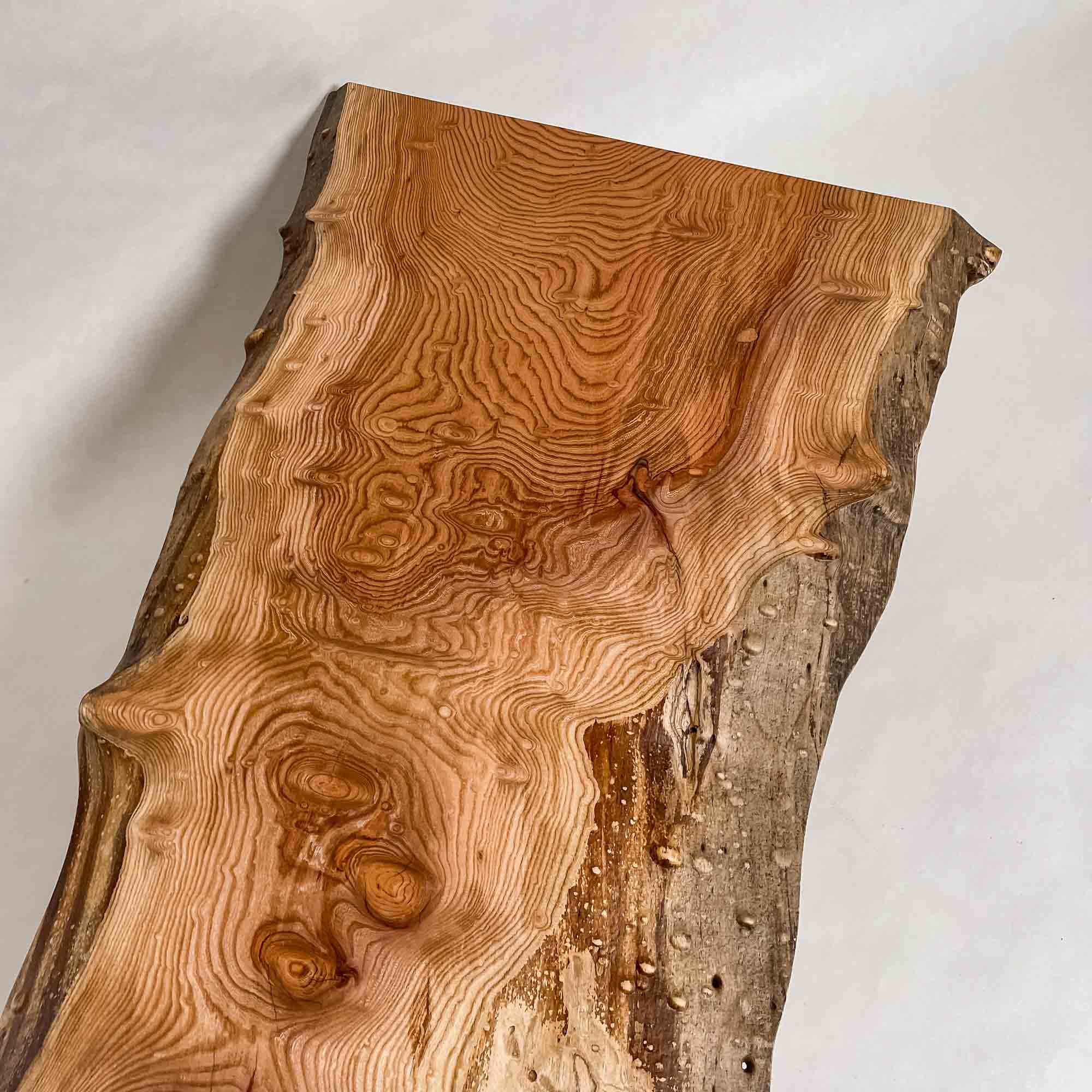 No.2090　欅（けやき）/一枚板カウンター