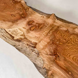 No.2090　欅（けやき）/一枚板カウンター