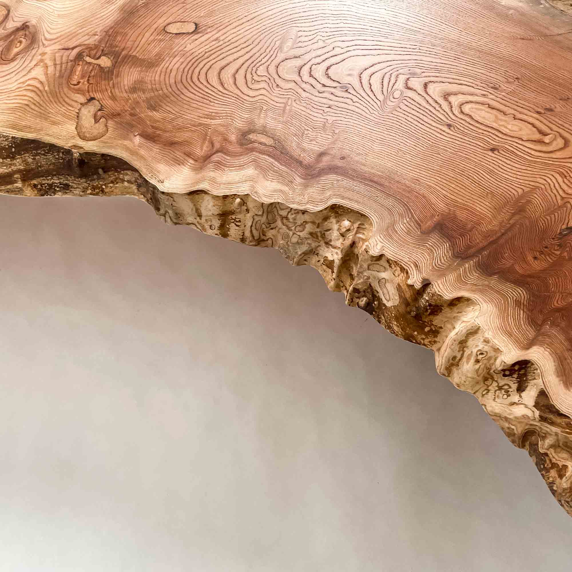 No.2090　欅（けやき）/一枚板カウンター