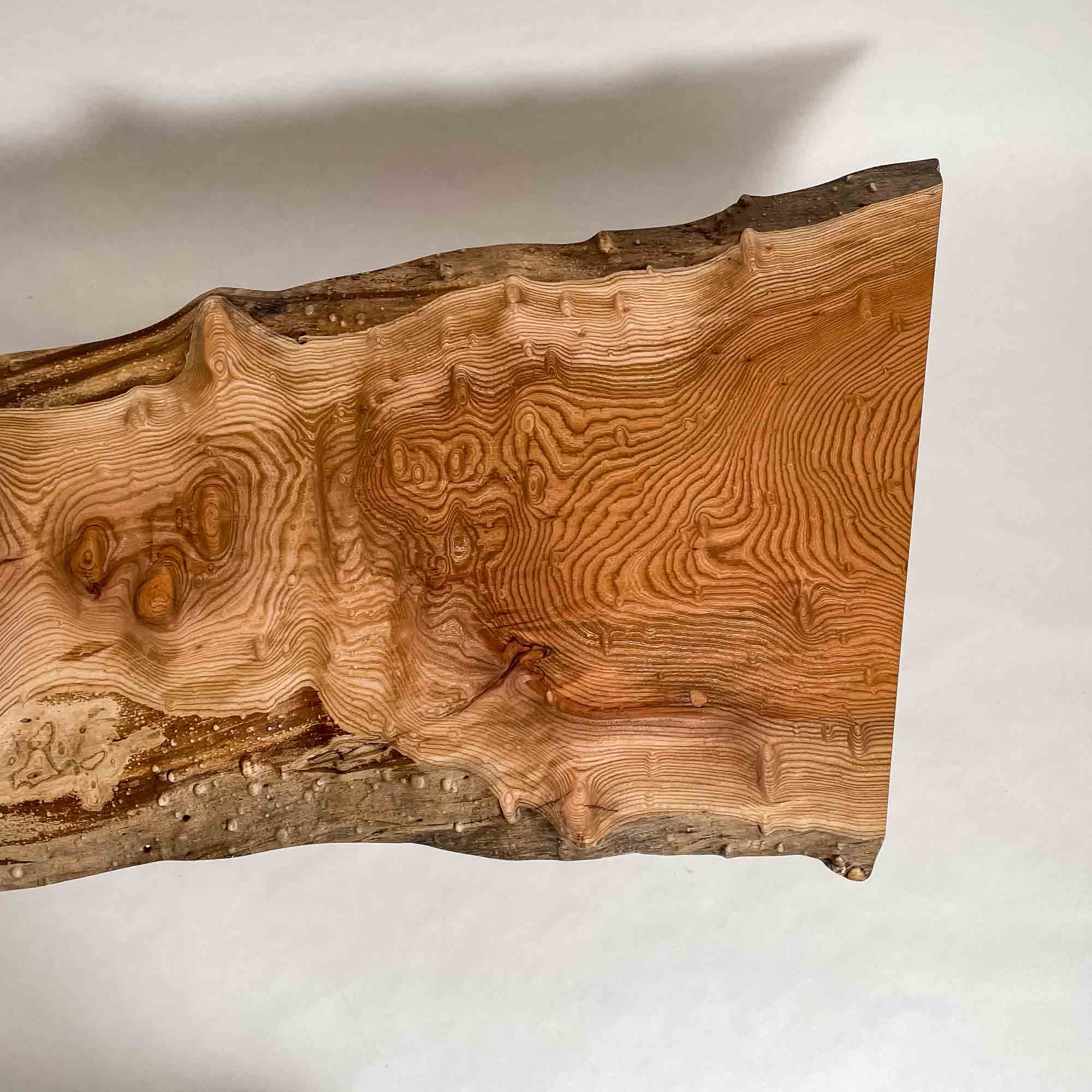 No.2090　欅（けやき）/一枚板カウンター