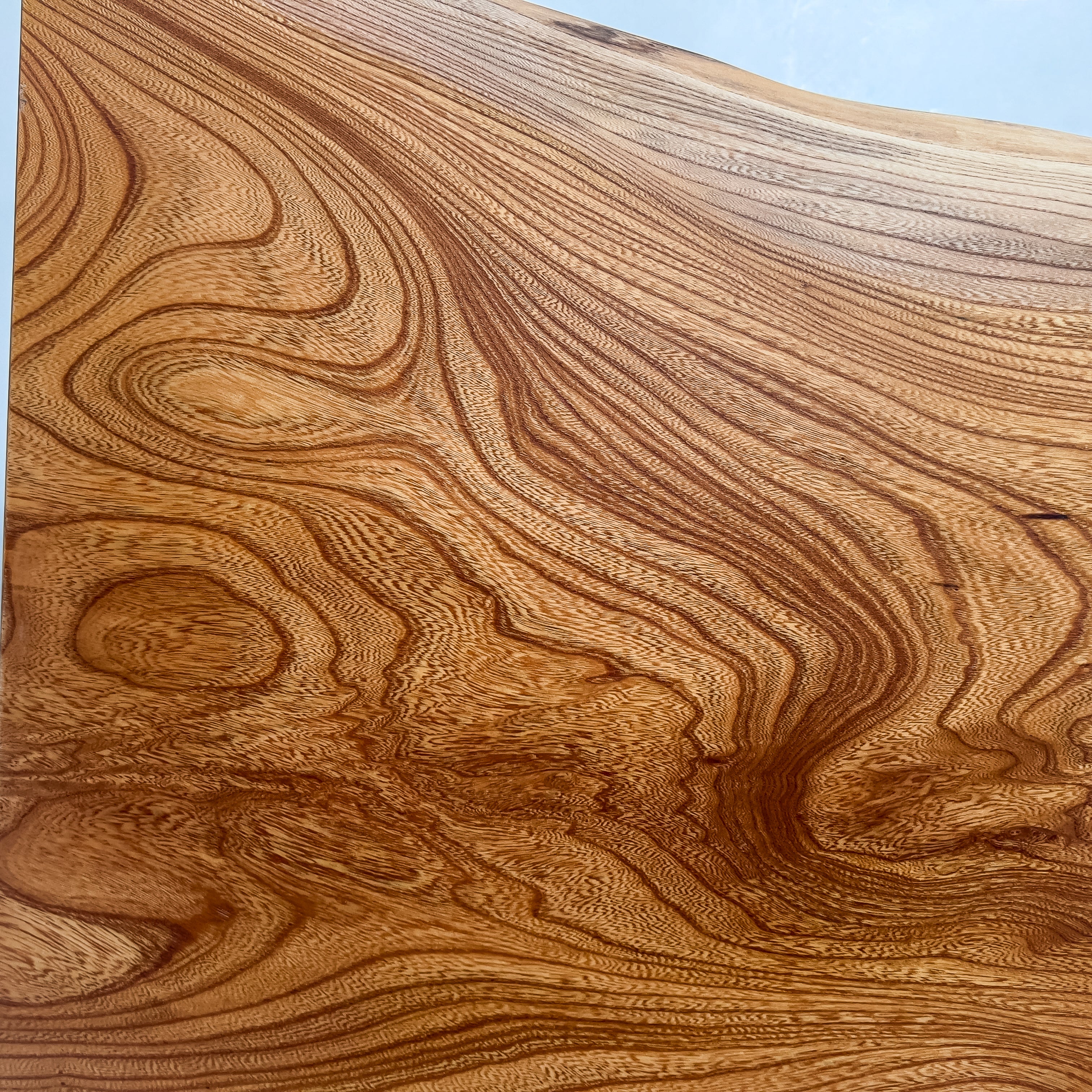 No.2174　欅（けやき）/一枚板センターテーブル