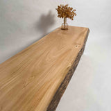 No.2110　水目桜（みずめざくら）/一枚板テレビ台