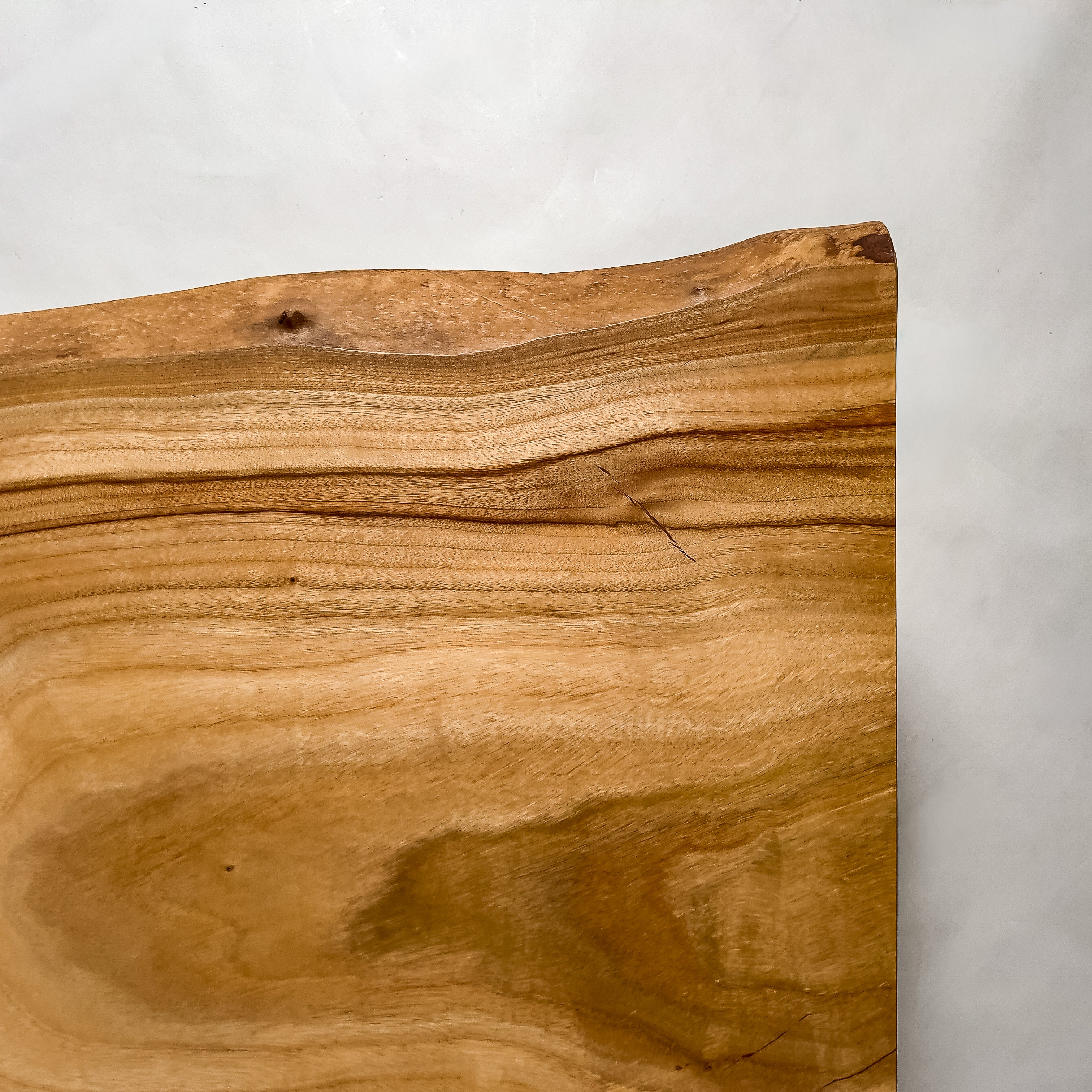 No.2194　楠（くす）/一枚板ベンチ